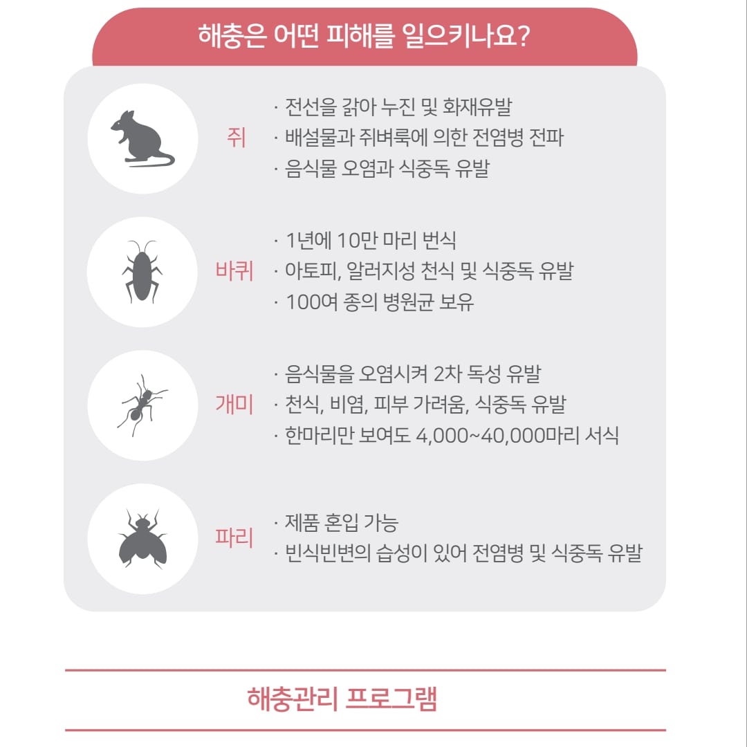 푸른숲