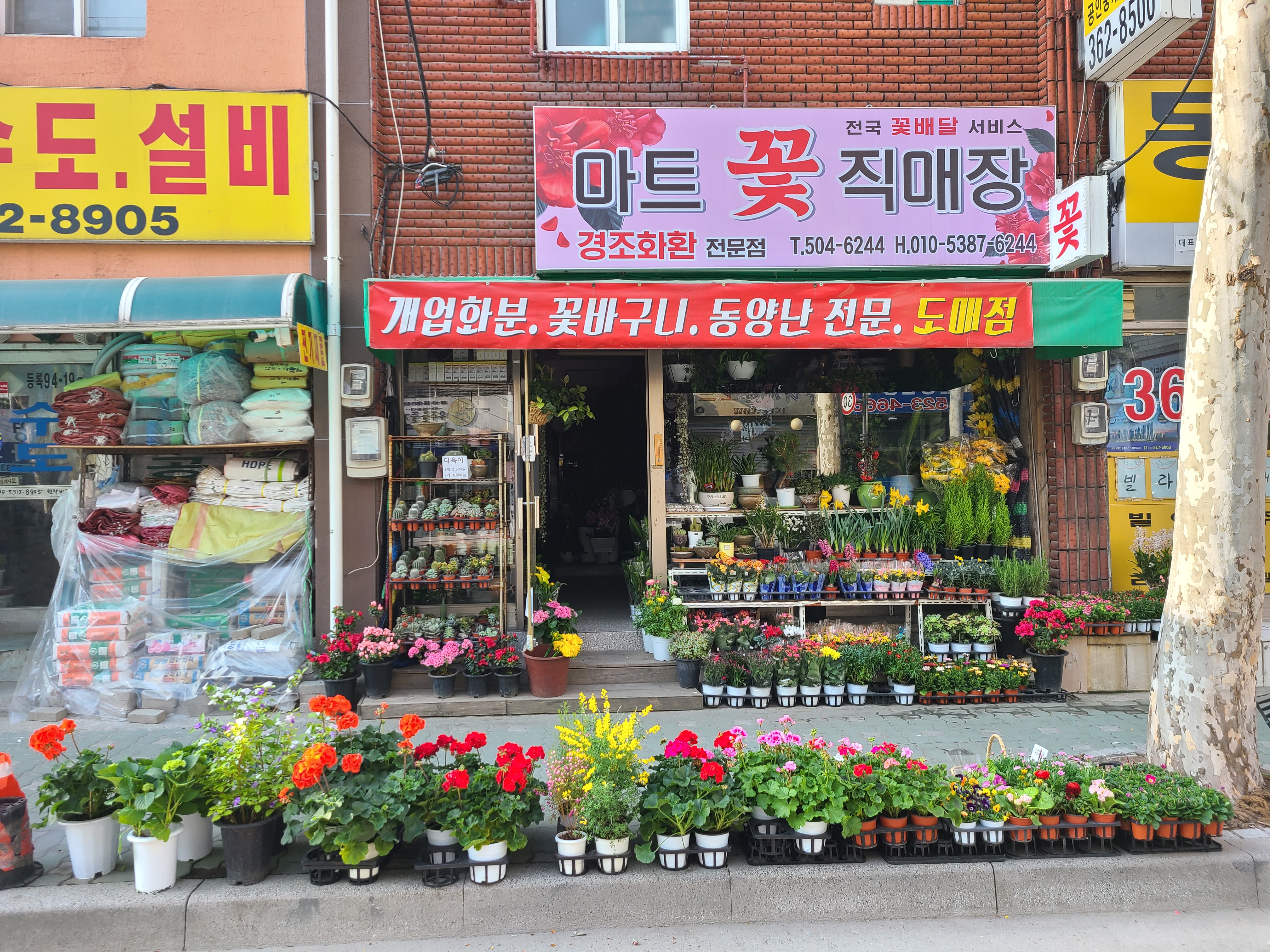 마트꽃직매장