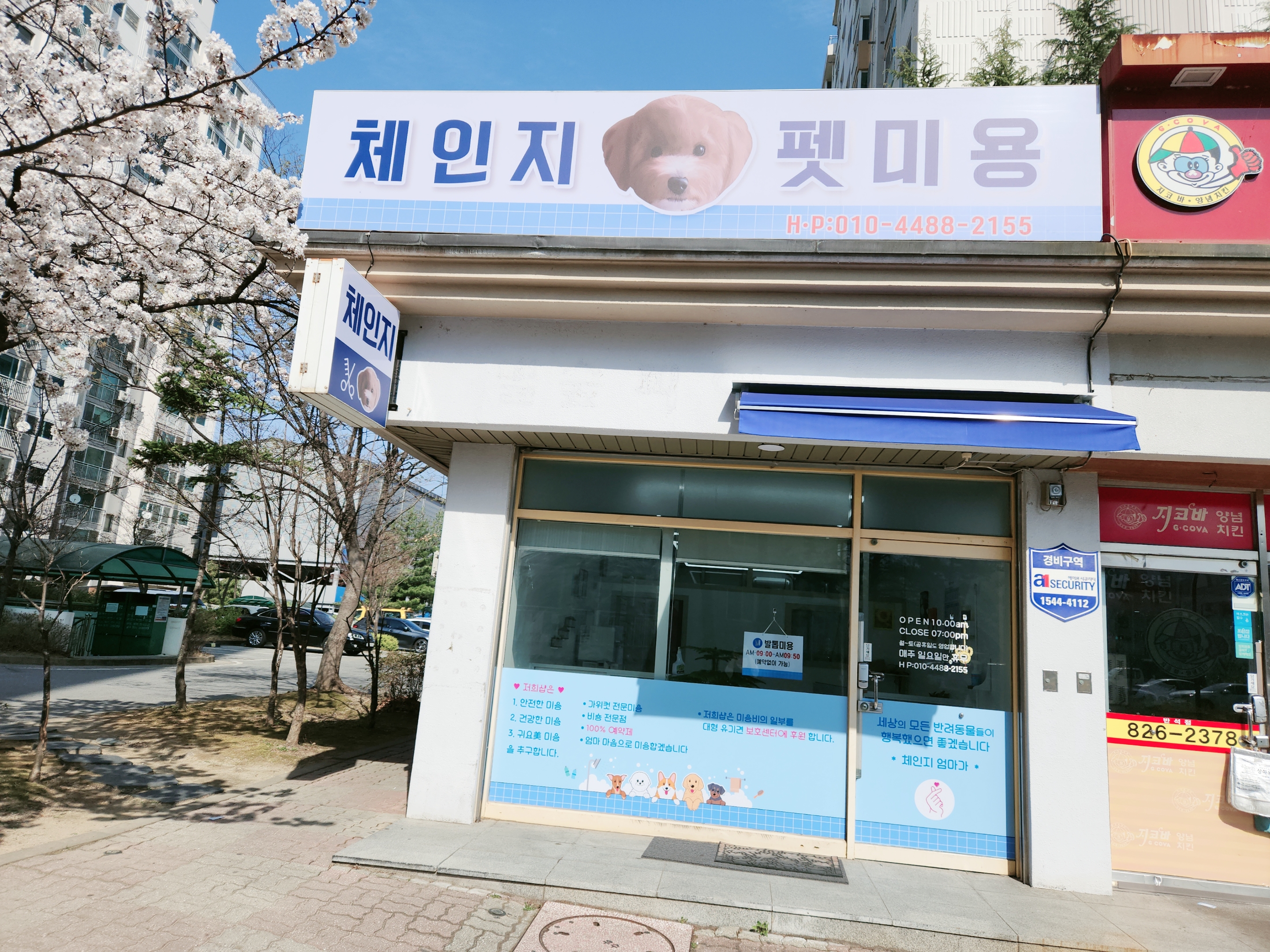 체인지펫미용