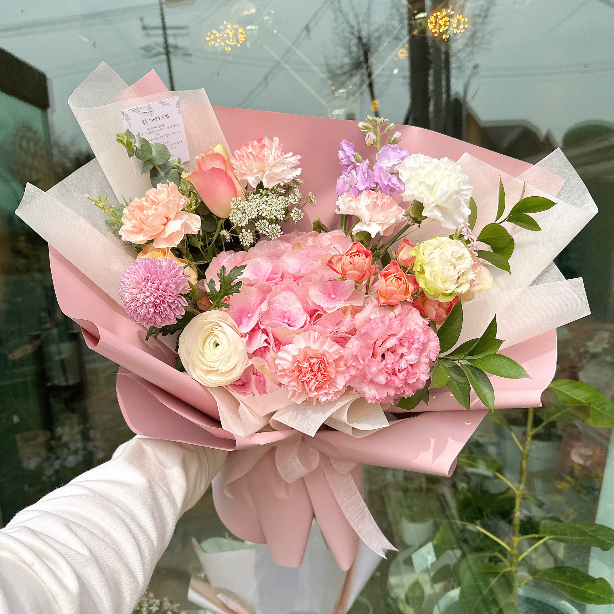 스테이인오아시스