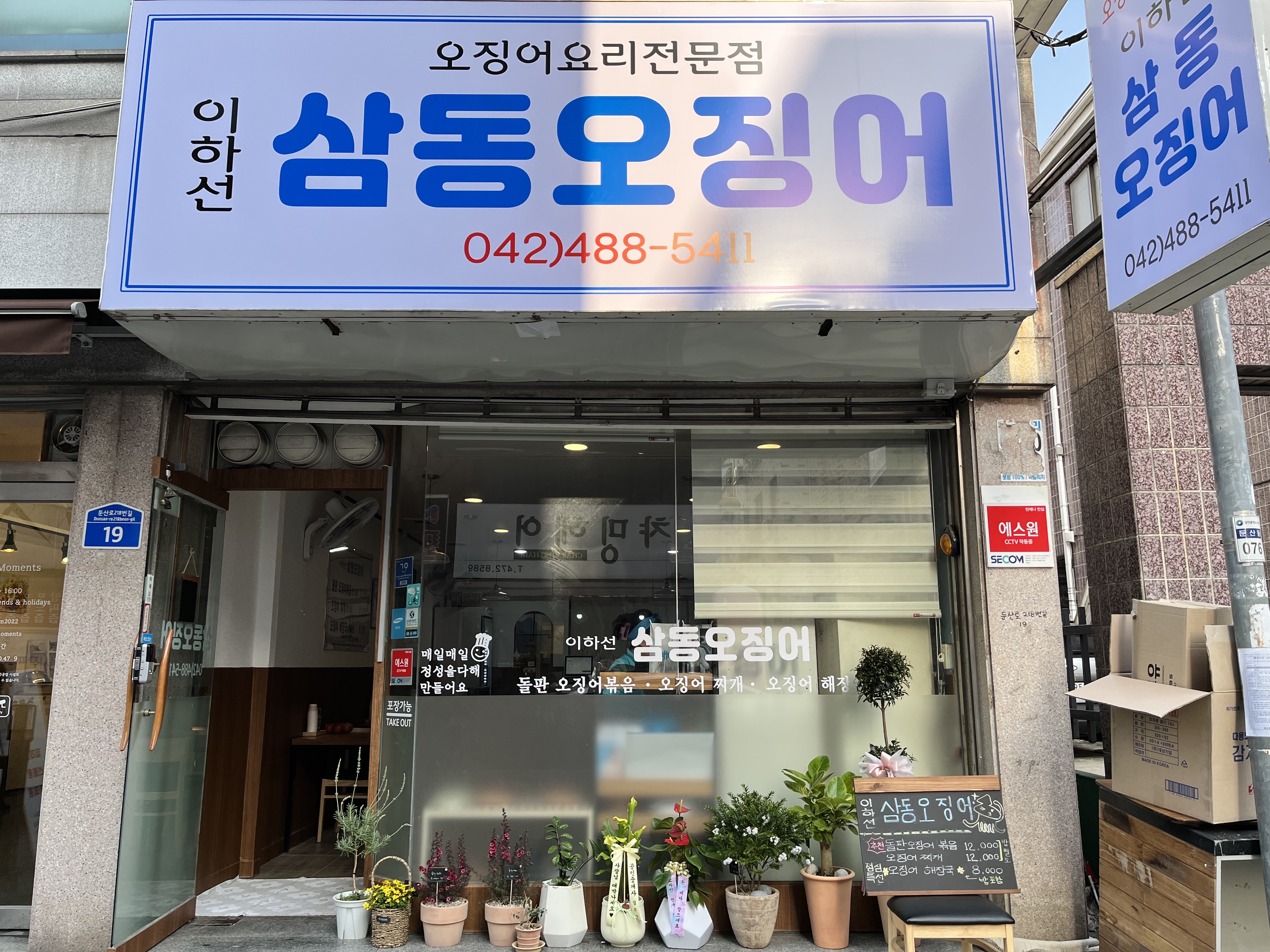 이하선 삼동오징어