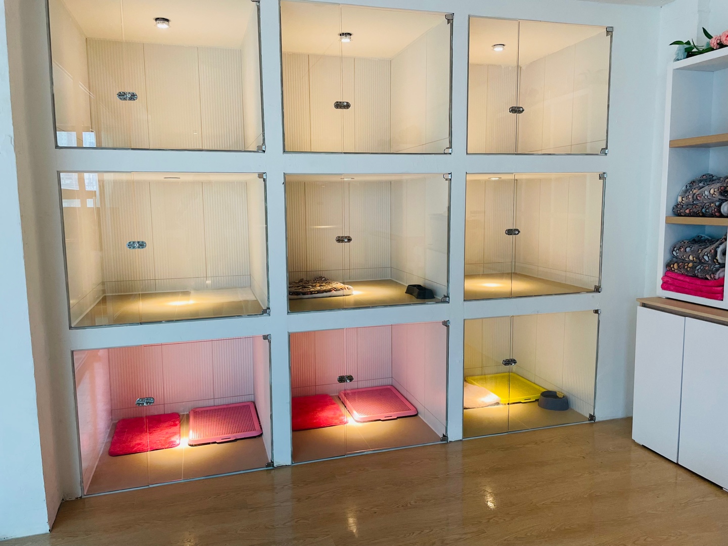 케니애견돌봄센터 대표 이미지