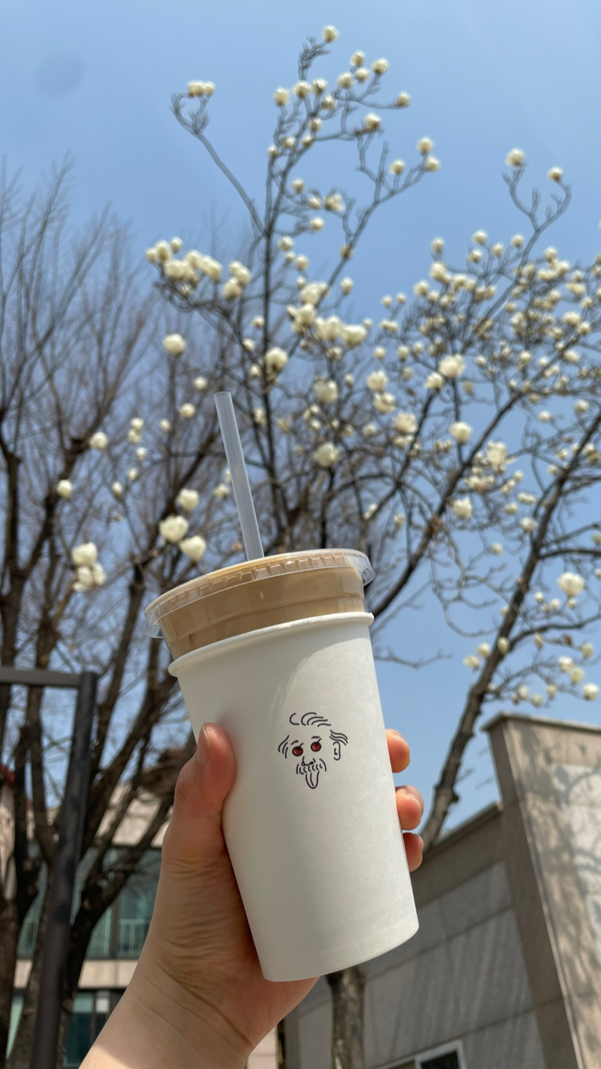 닥터크렘슈타인