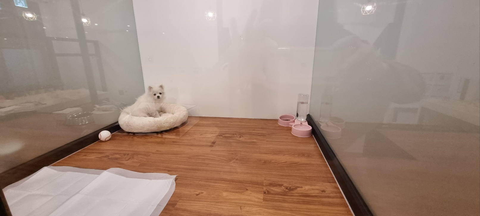 펫 필드 호텔 대표 이미지