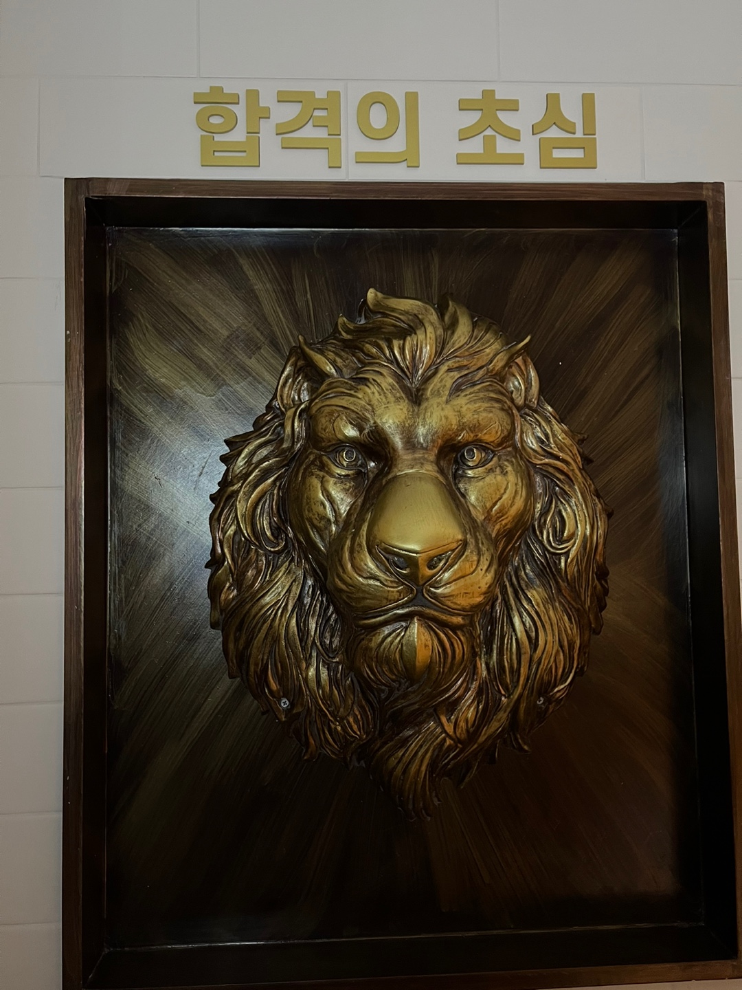업체사진