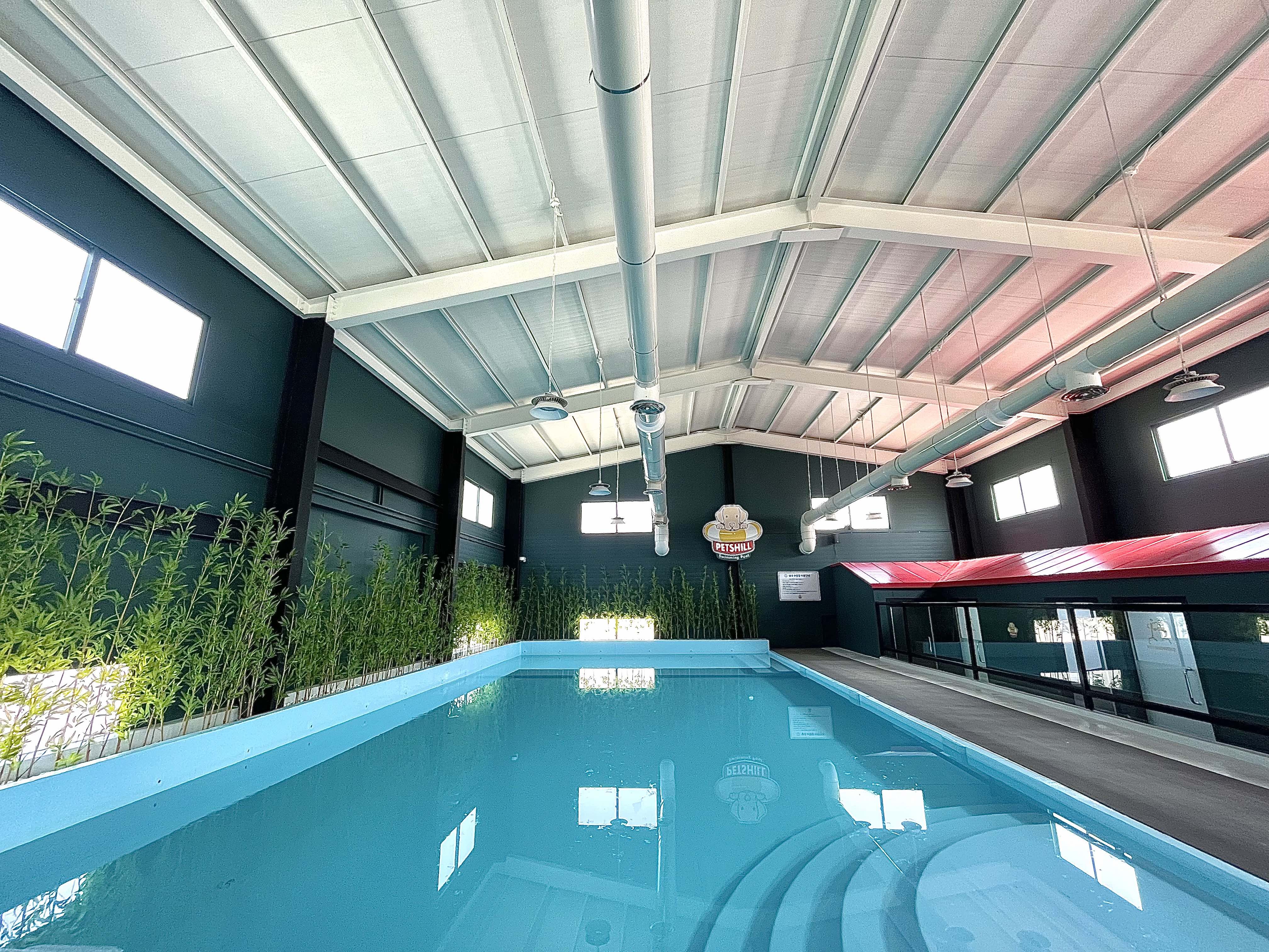 펫츠힐 실내수영장 이미지