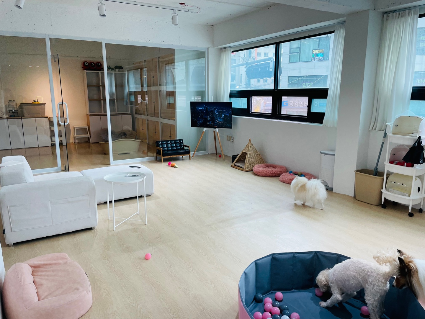 케니애견돌봄센터 대표 이미지