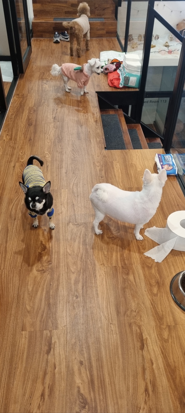 펫 필드 호텔 대표 이미지