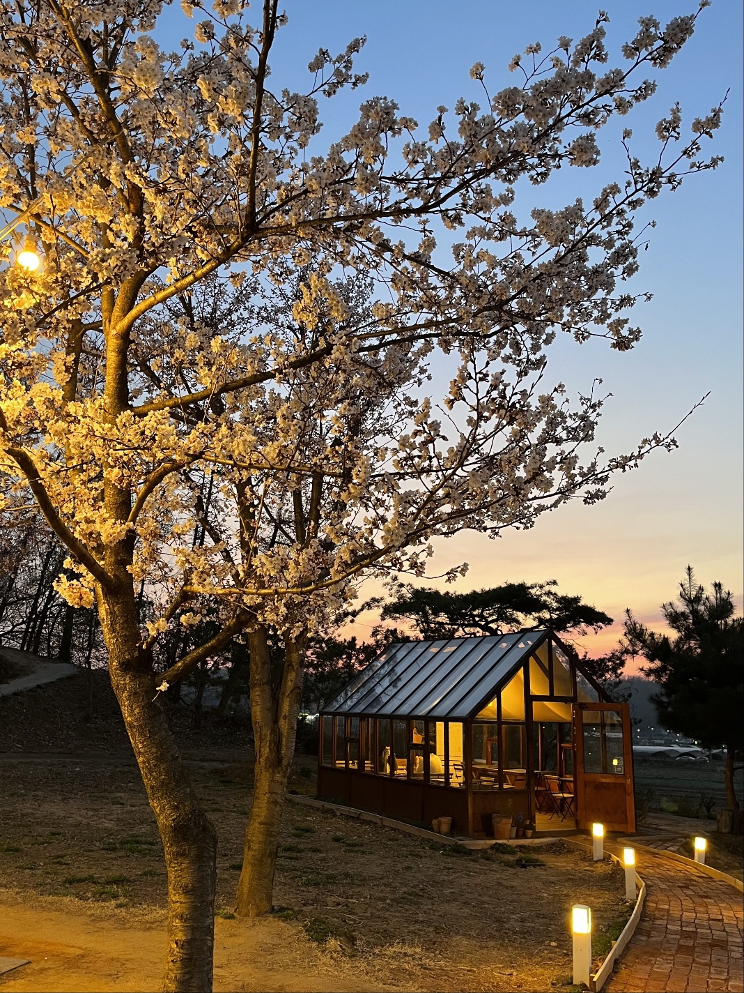 이숲