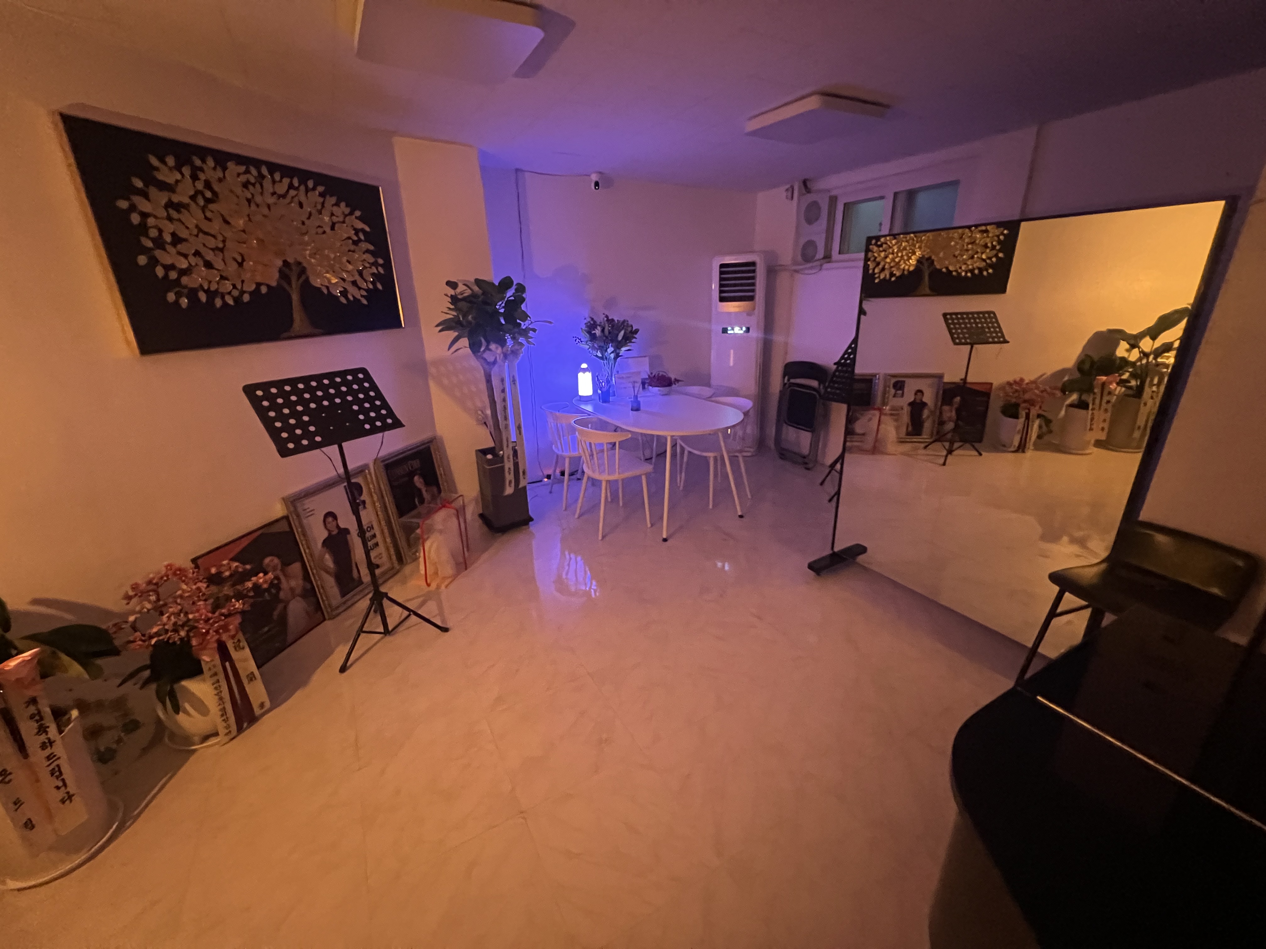 5번째 스튜디오 사진