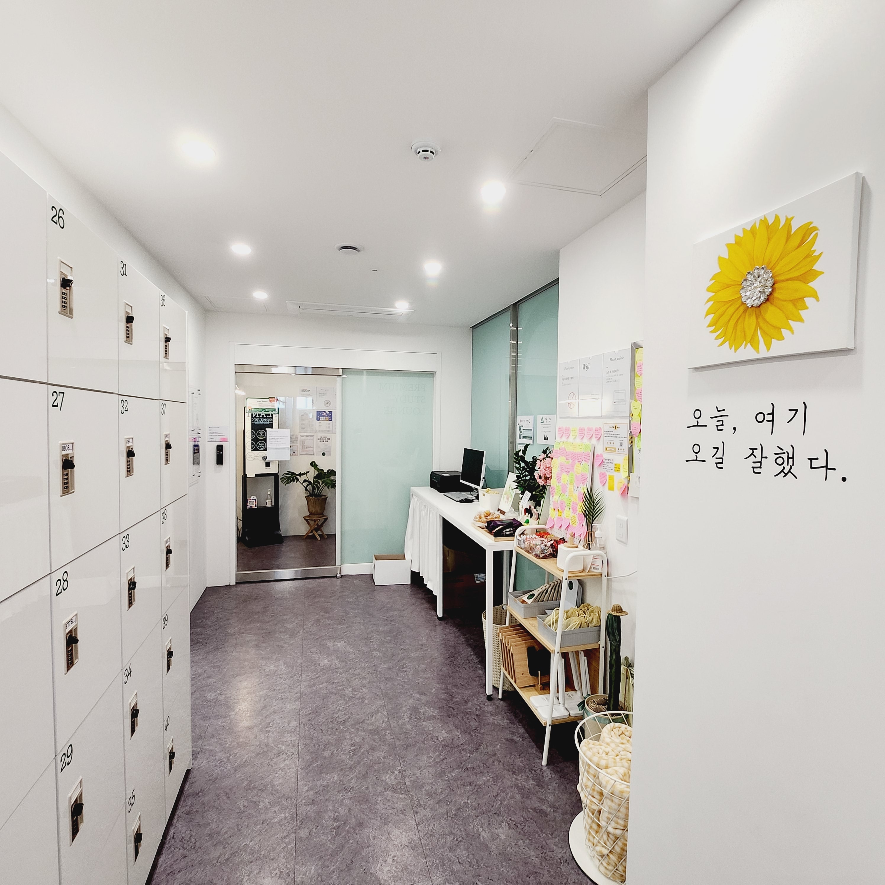 업체사진