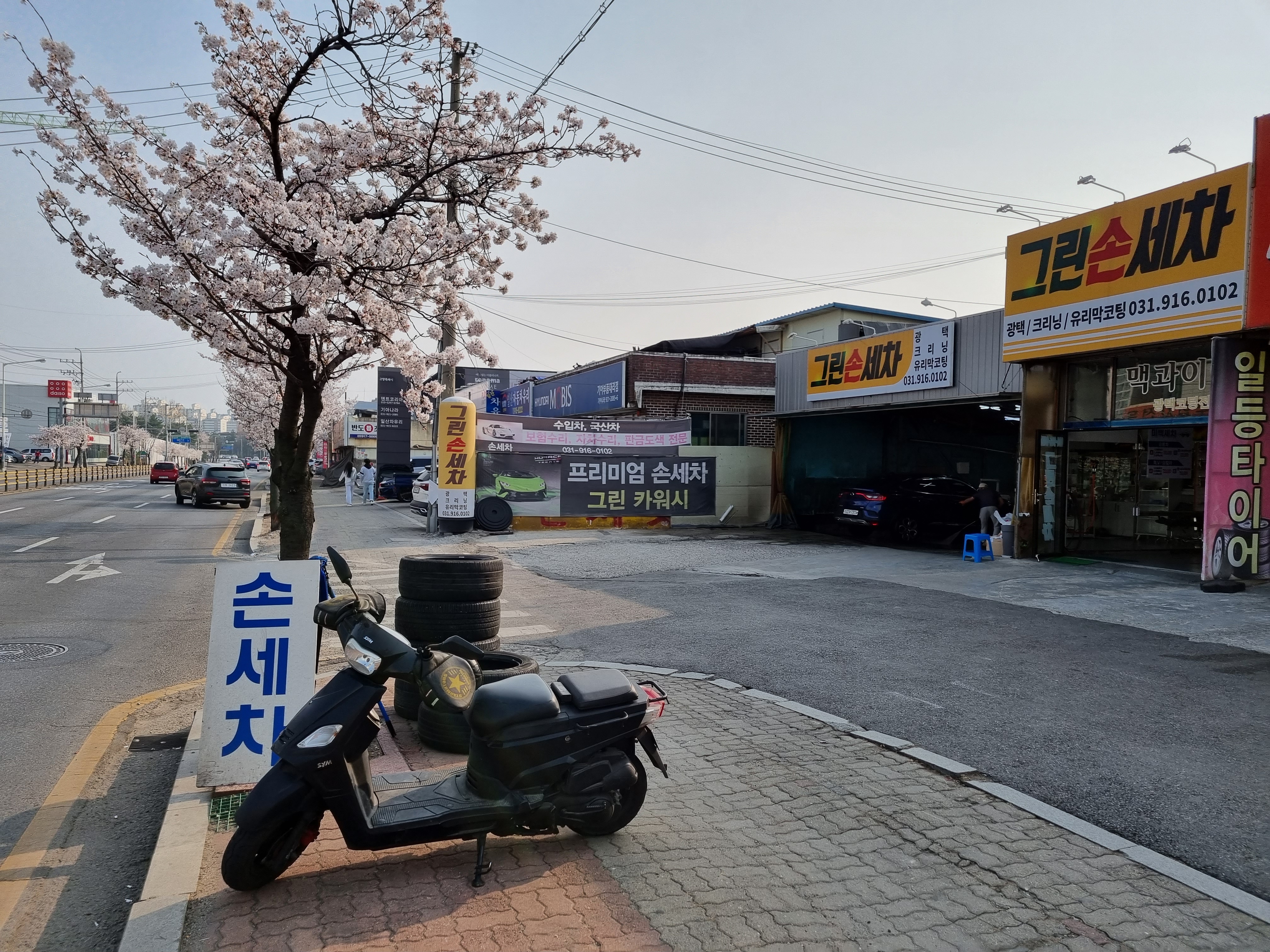그린손세차장