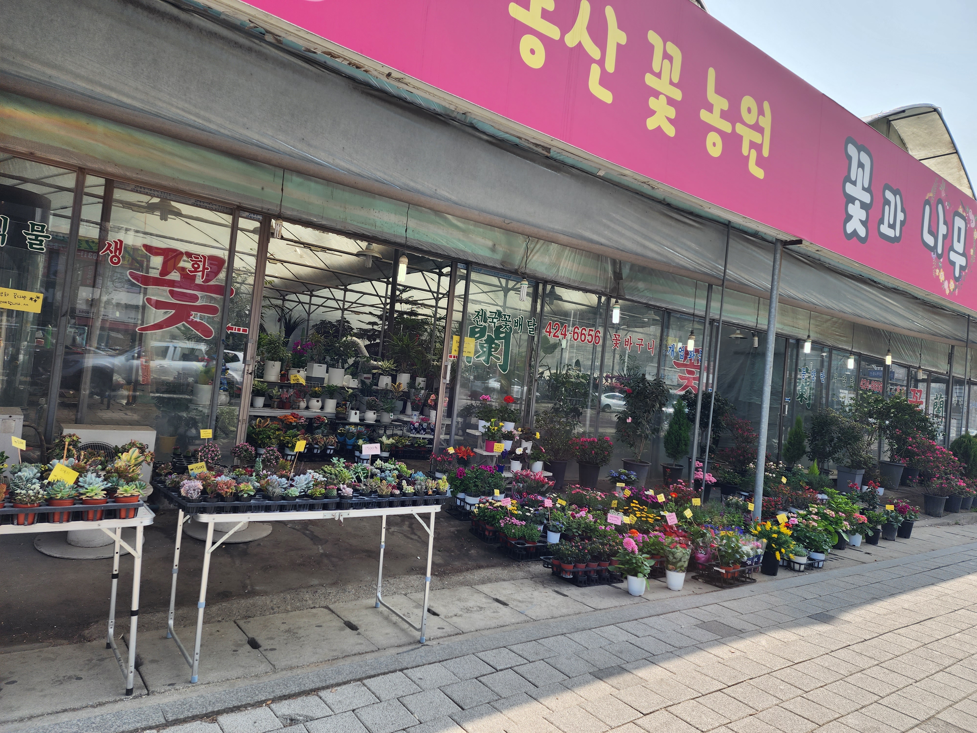 동산꽃농원2호점전국꽃배달