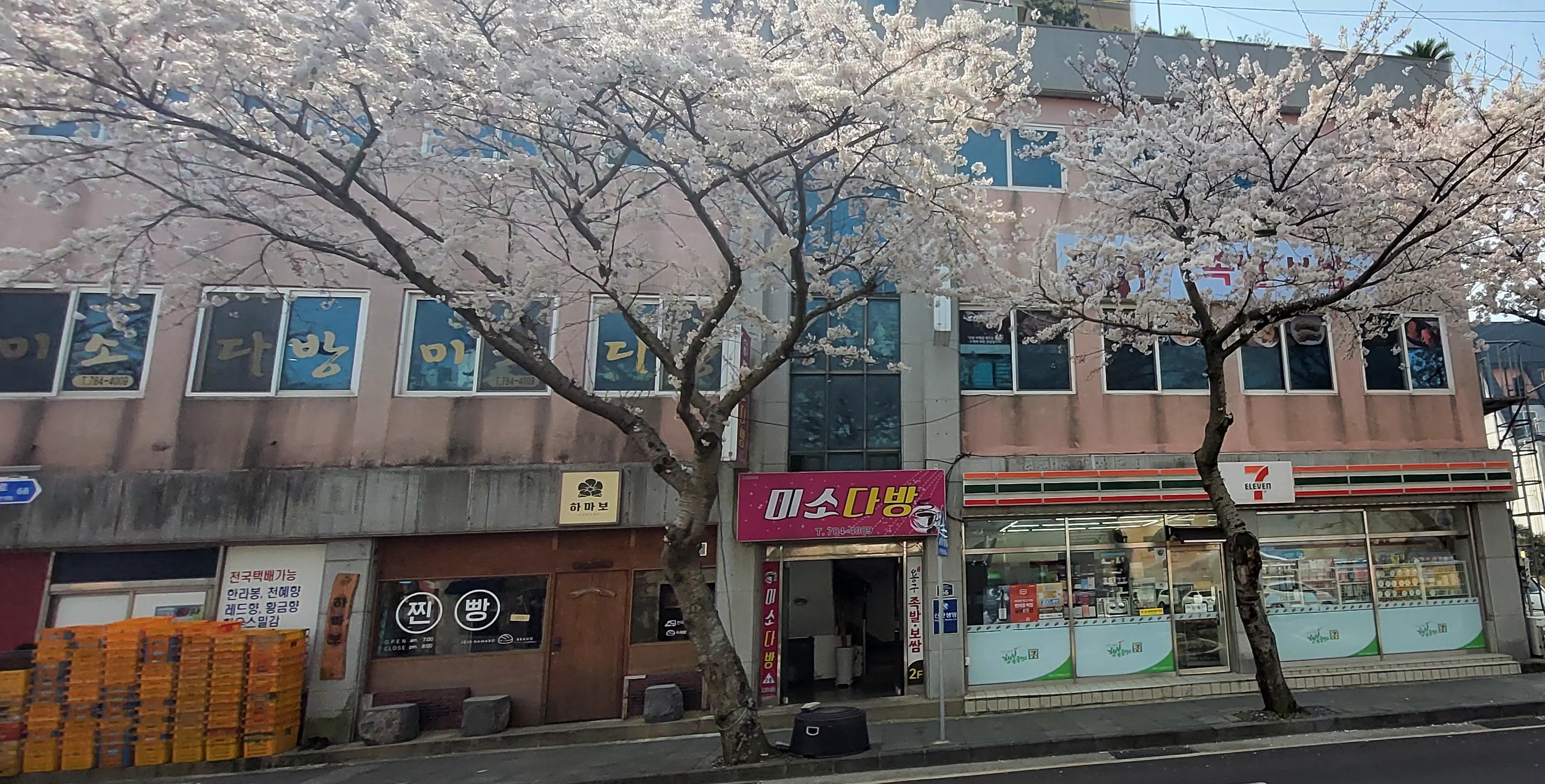 미소다방