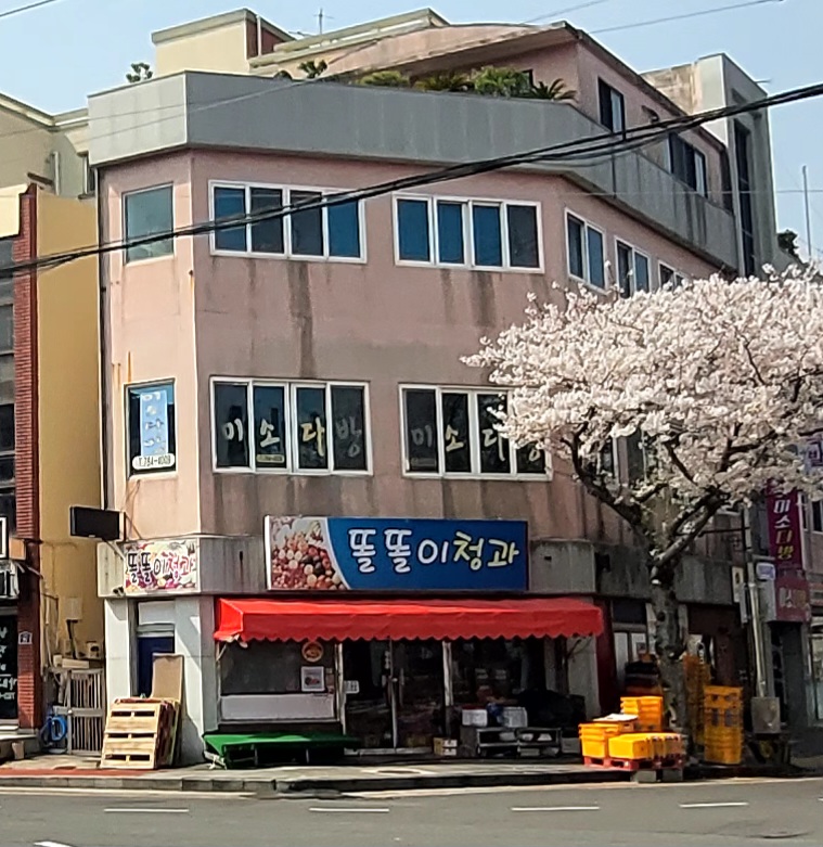똘똘이청과