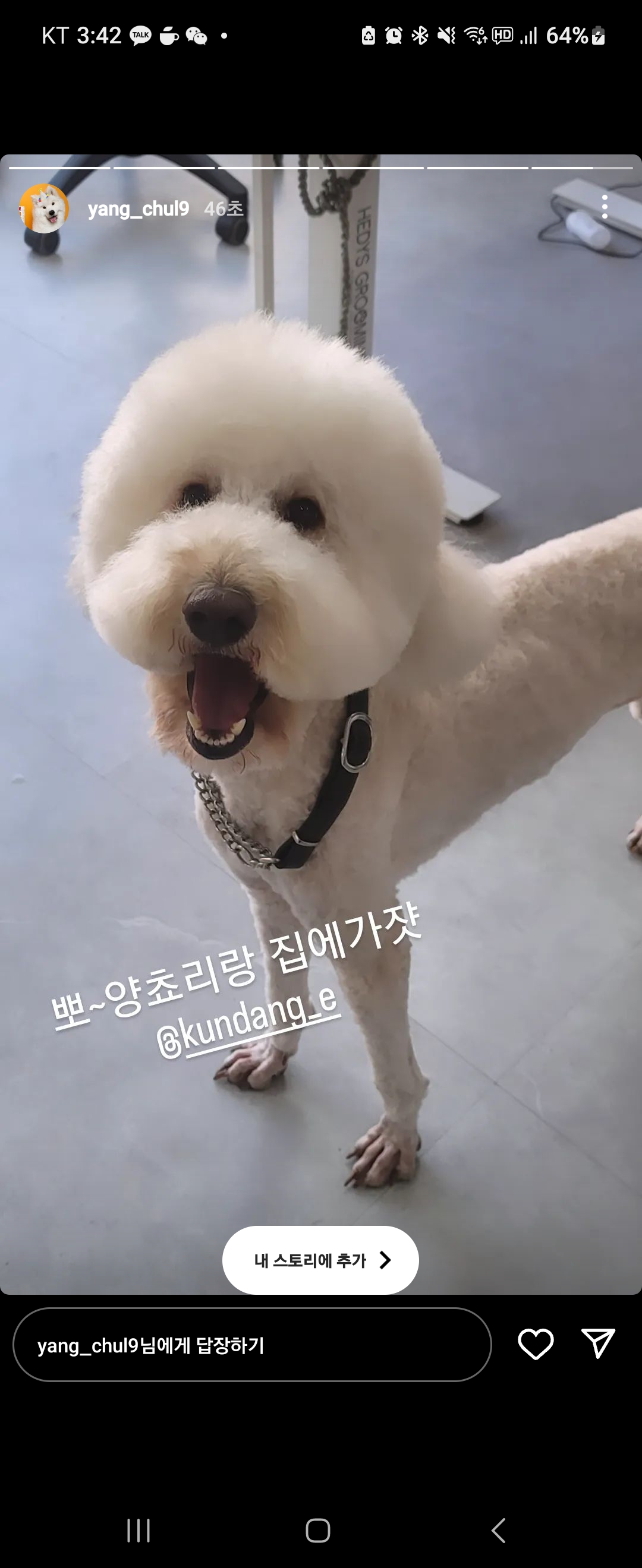 큰댕이네 대표 이미지