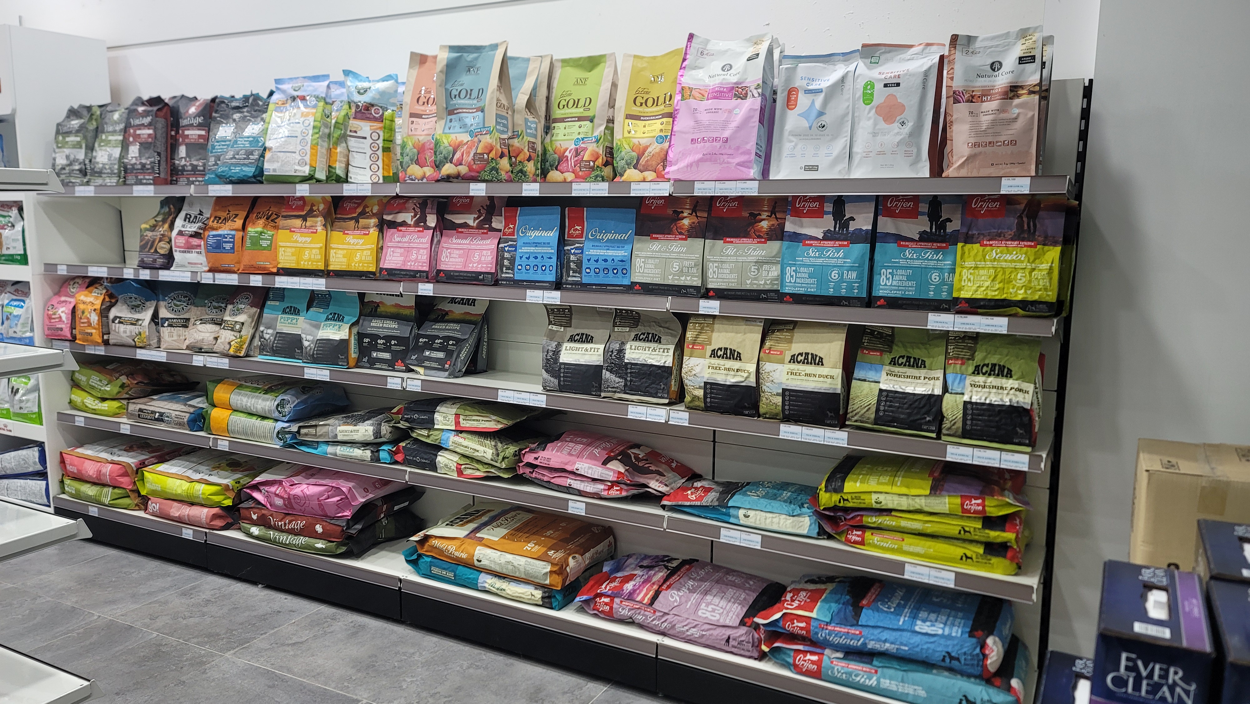 펫수니 대표 이미지