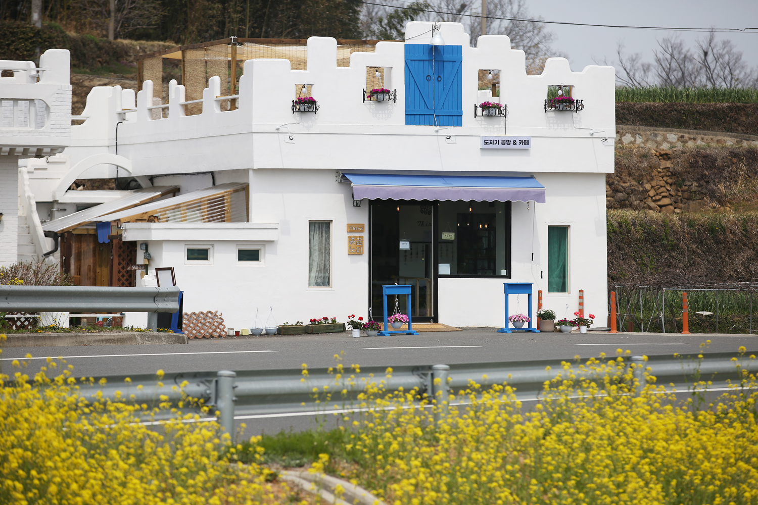 티라와 흙꿉노리
