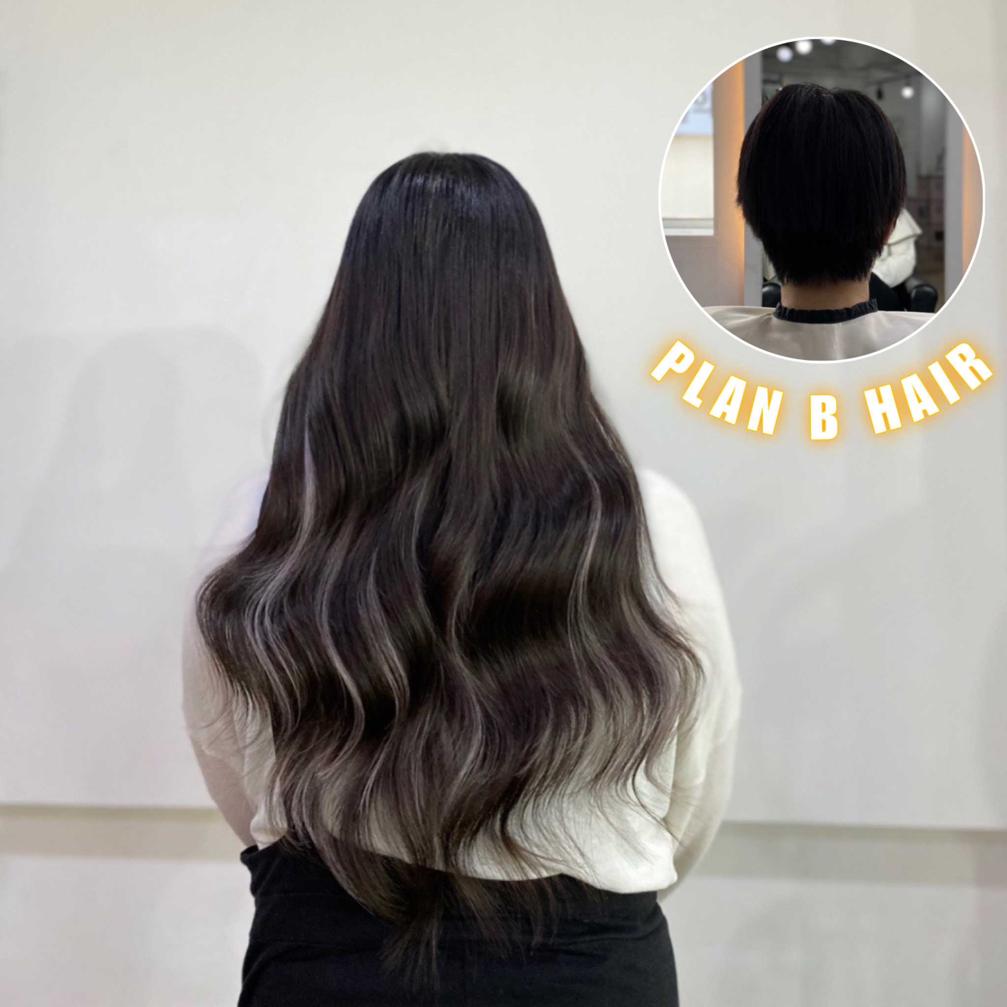플랜비헤어