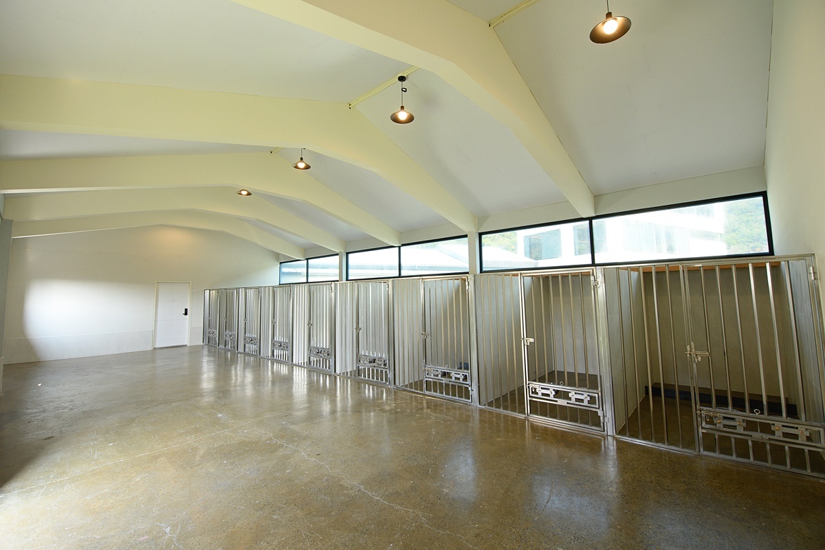 개똑독 반려견행동교정센터 대표 이미지