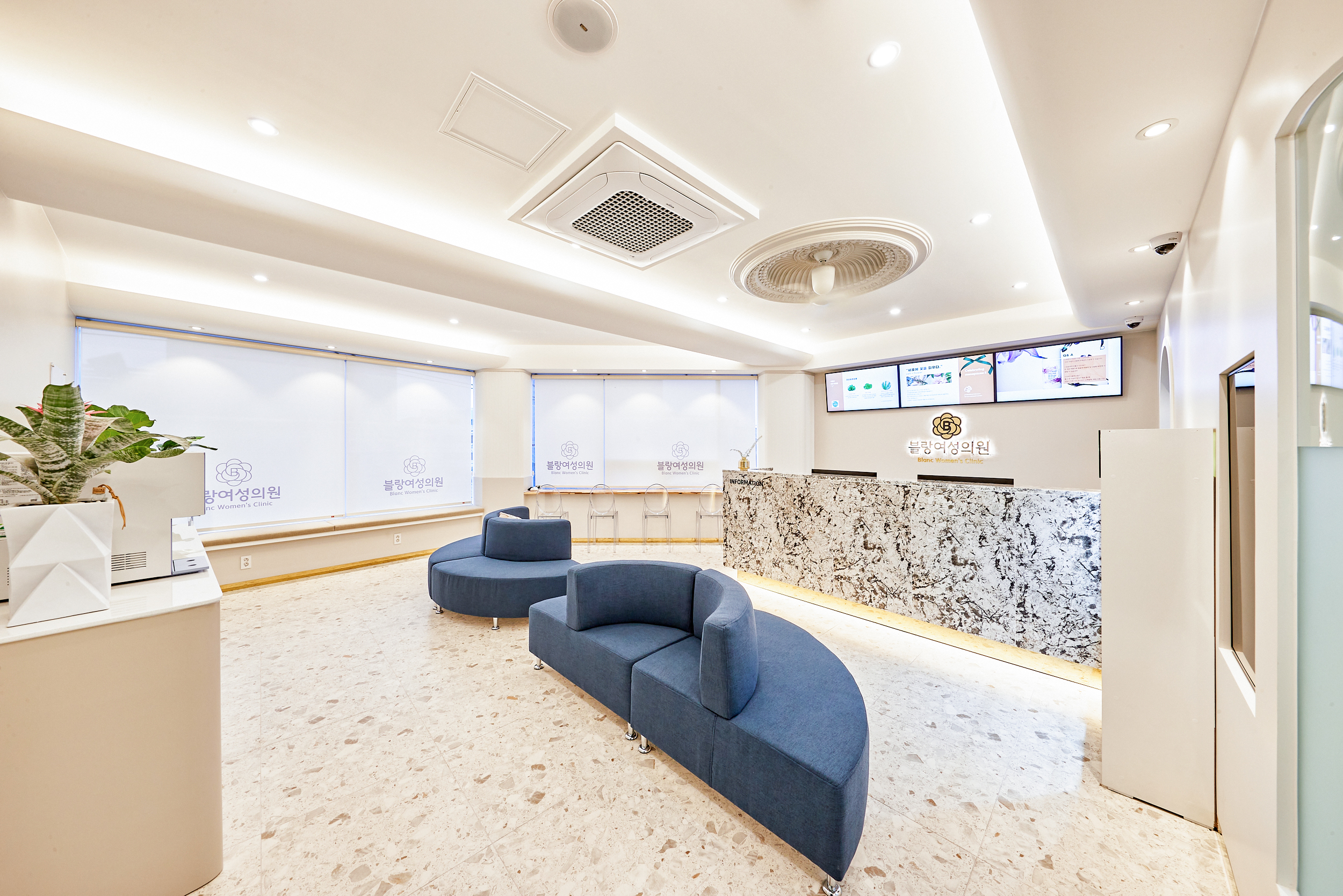 ๋ธ๋์ฌ์ฑ์์ ๋ํ ์ด๋ฏธ์ง