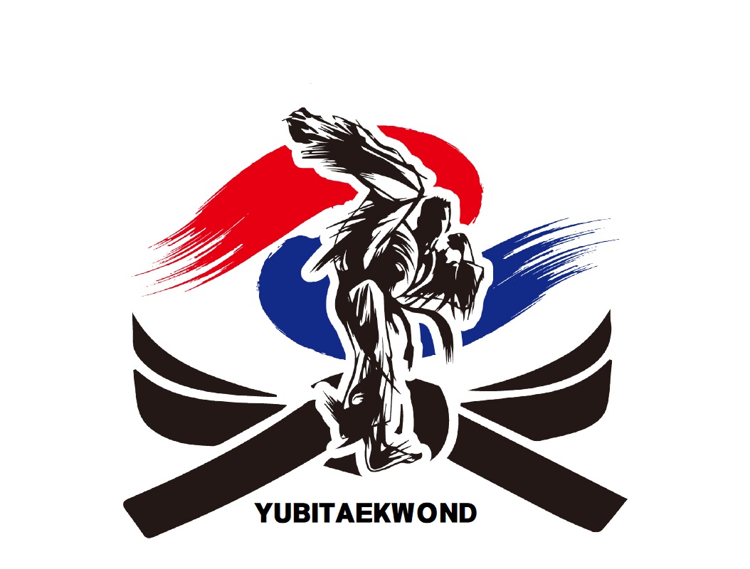 국가대표유비태권도장