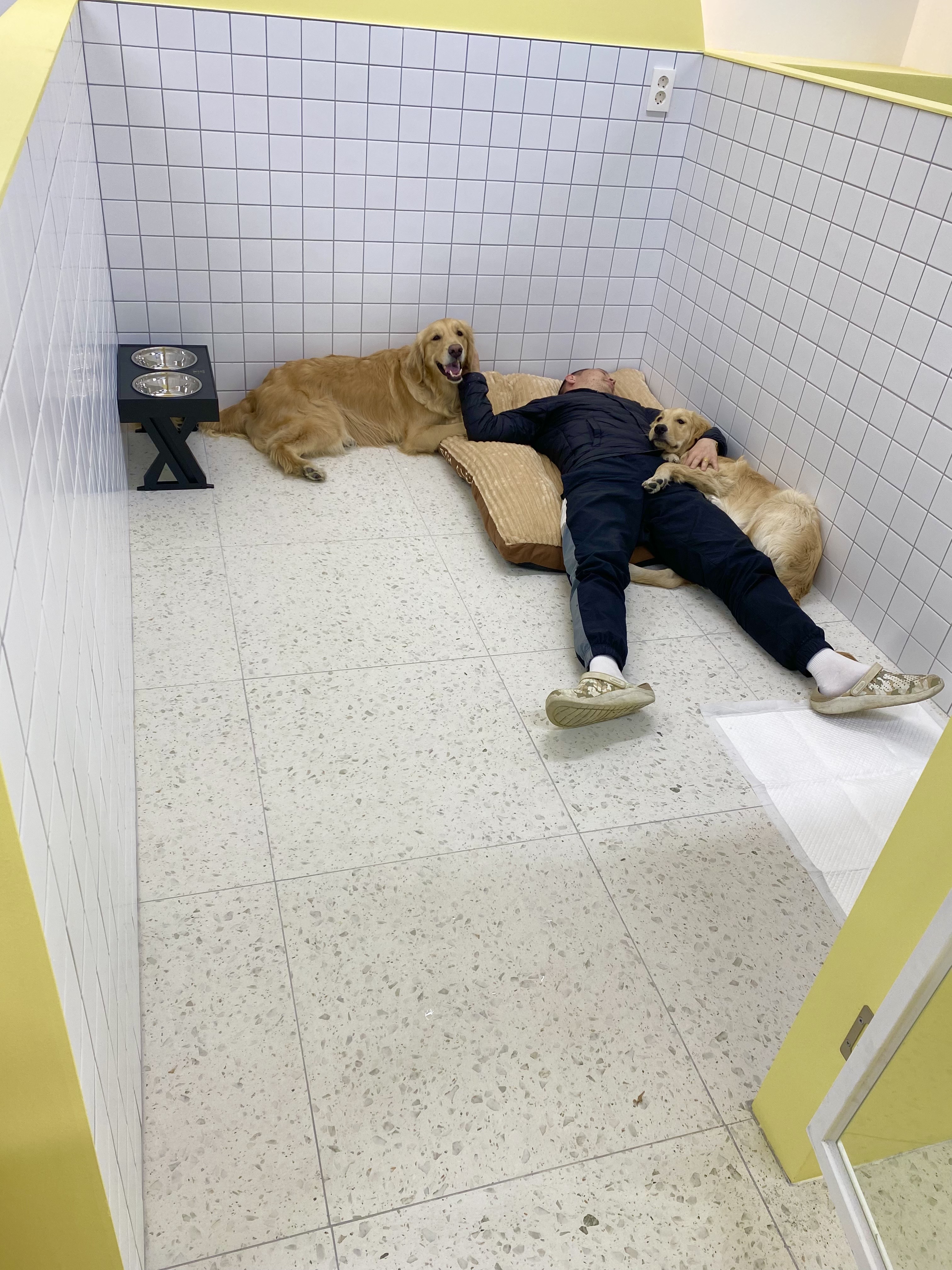 댕교오겠습니다 대표 이미지