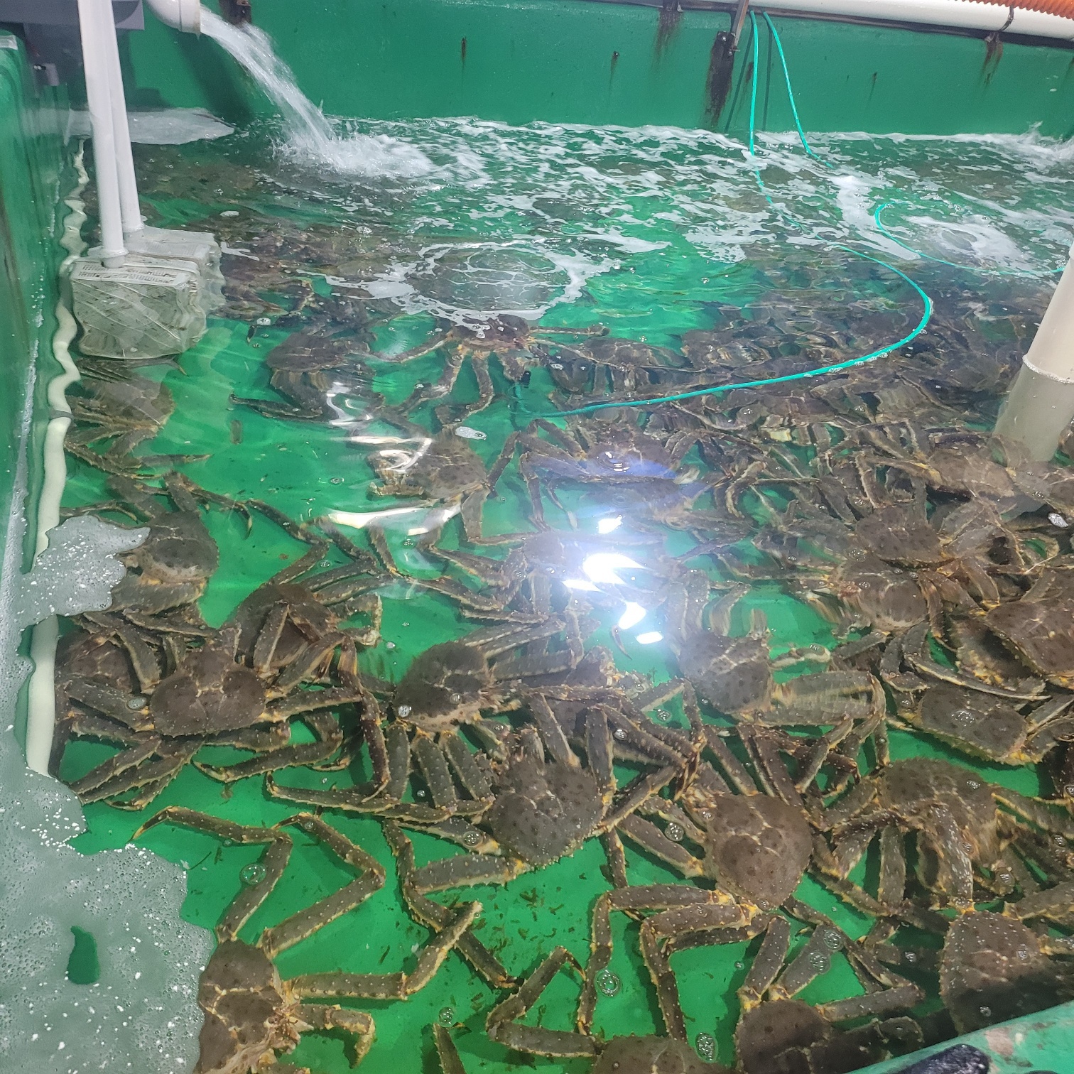 크랩스테이션