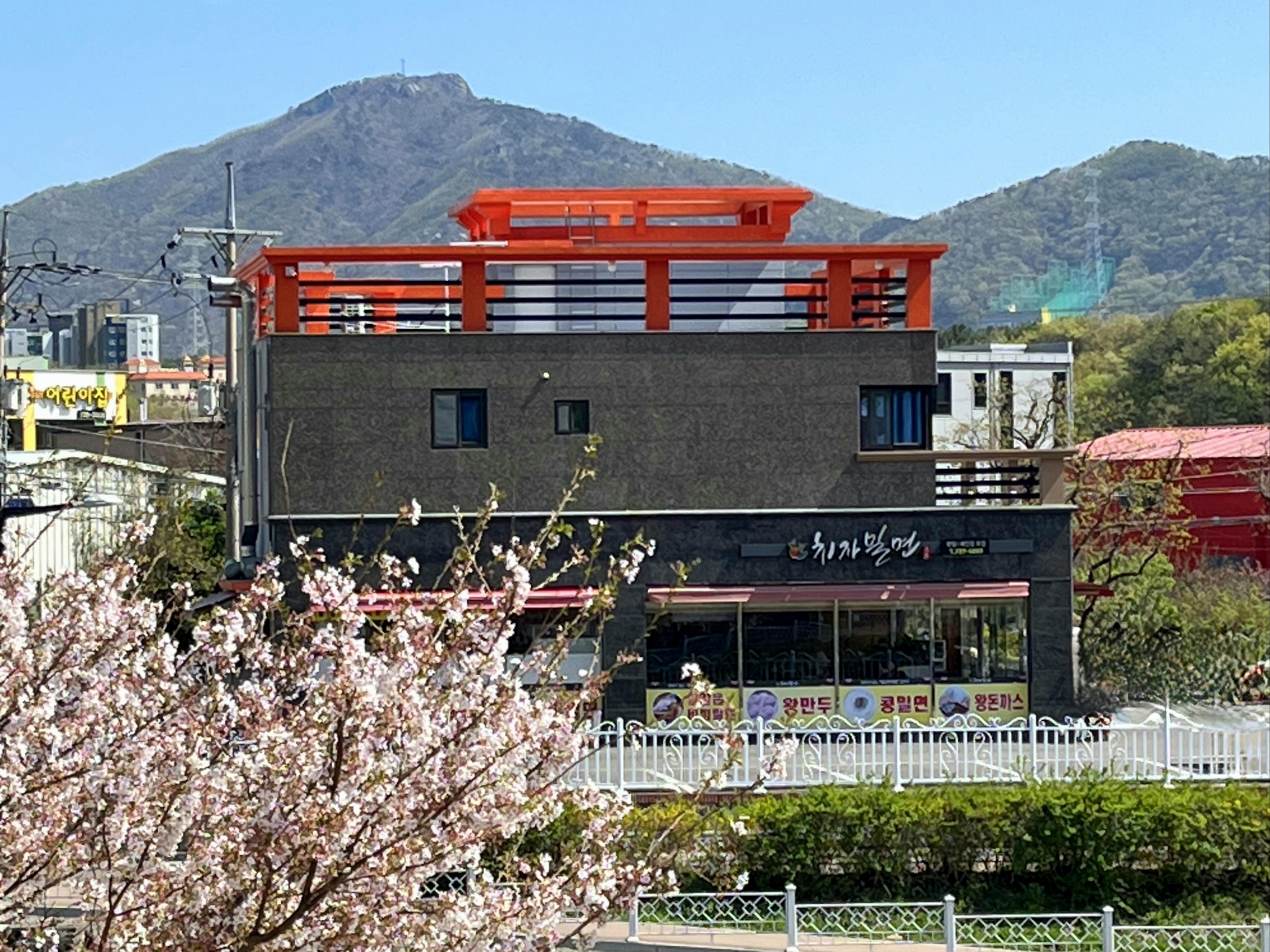 치자밀면 본점