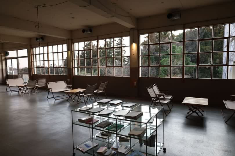 더리트리브 제주 애견맛집