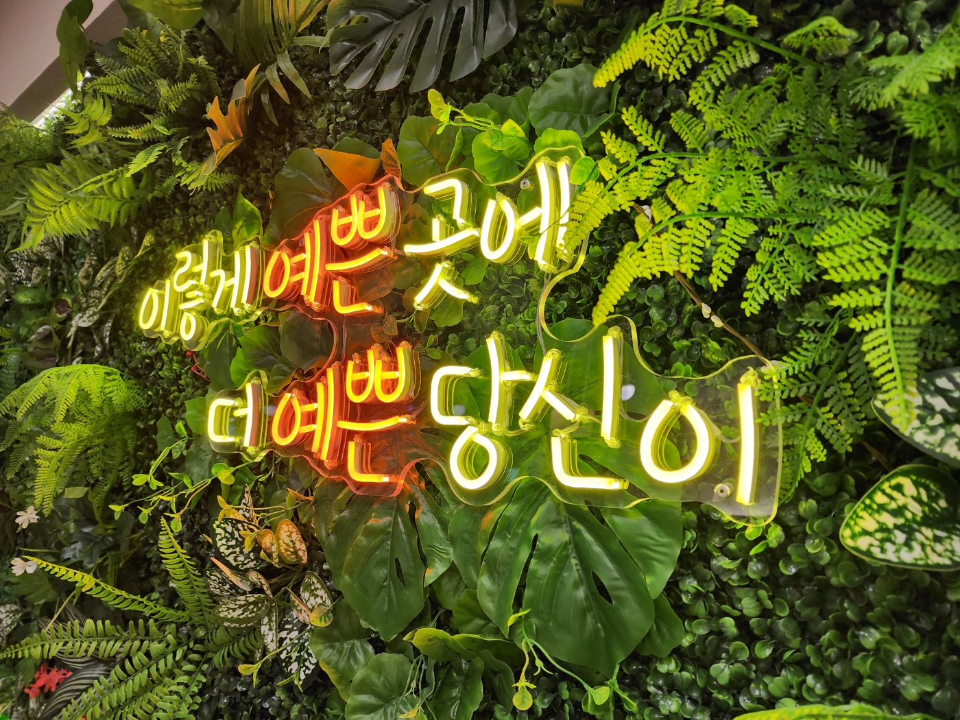 은사즉석떡볶이 호원점