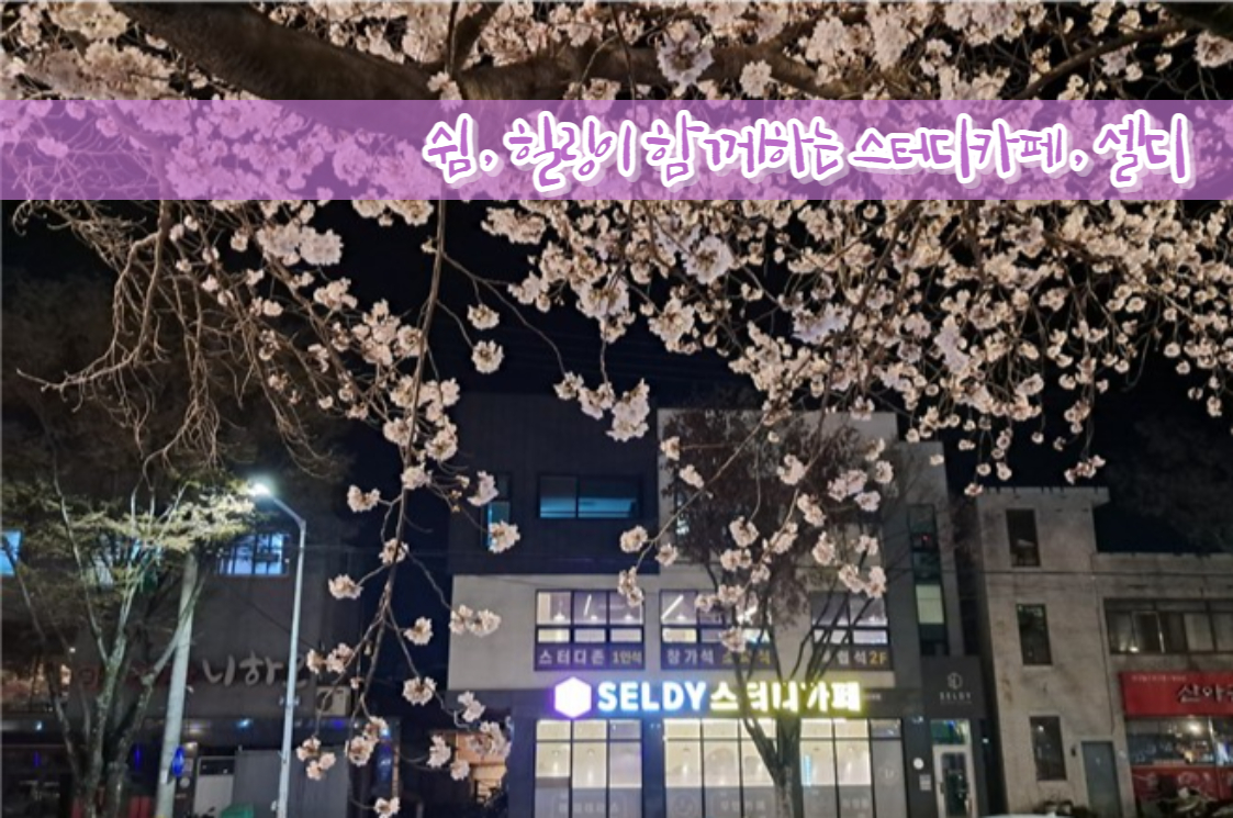 업체사진