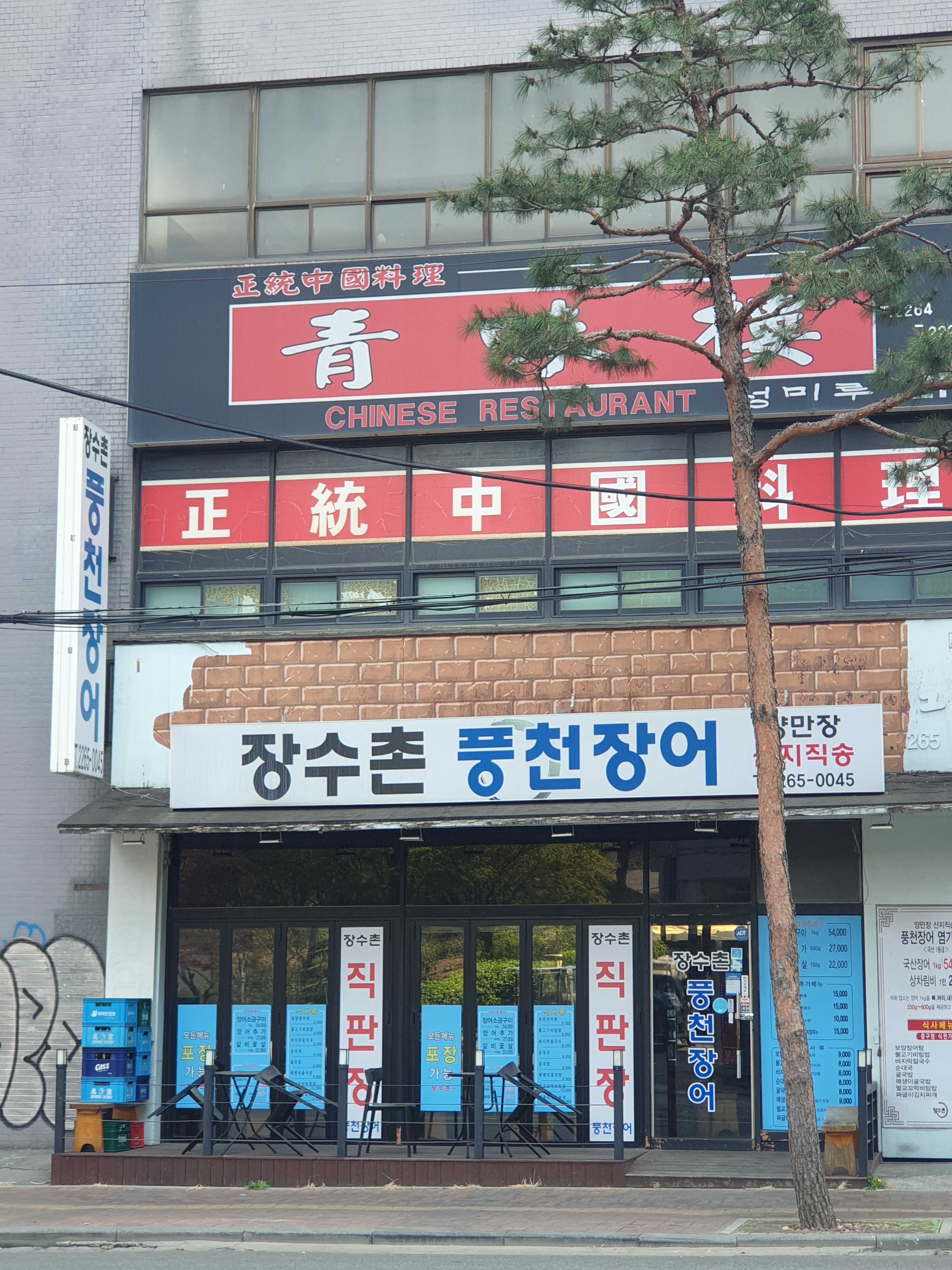 장수촌풍천장어