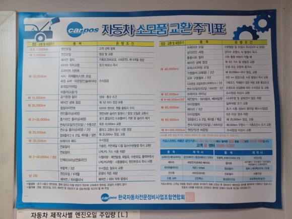 현대카모터스 대표 이미지