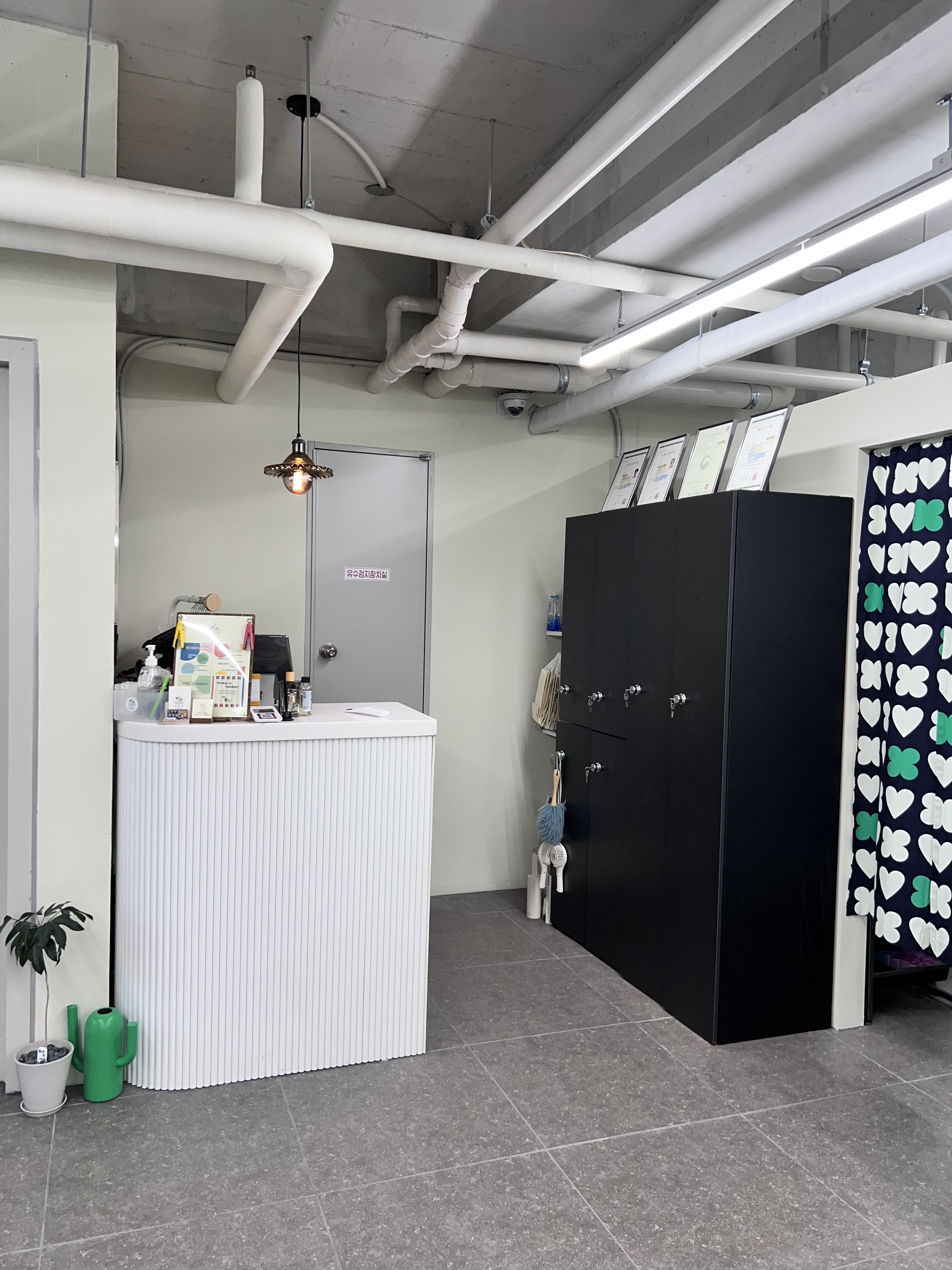 미홍실 대표 이미지