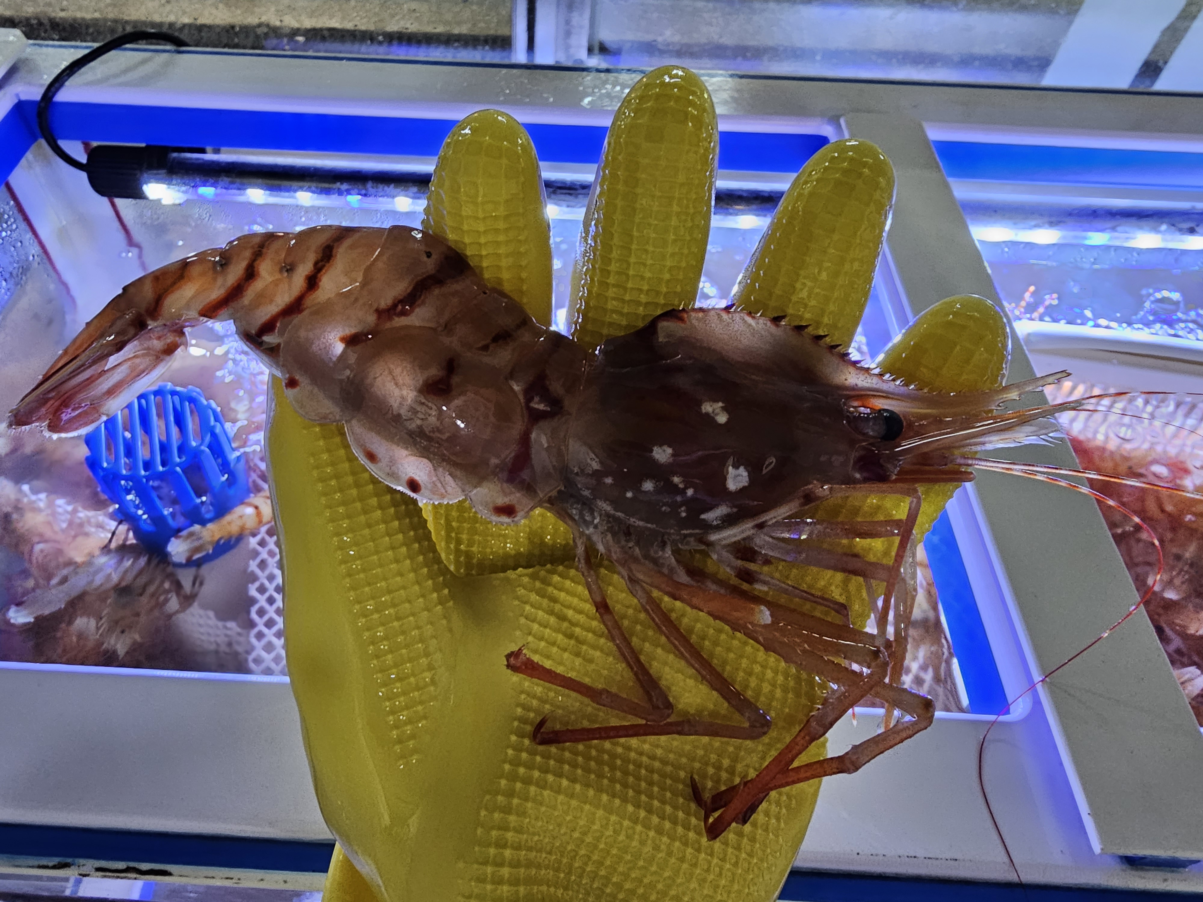 섬하나수산