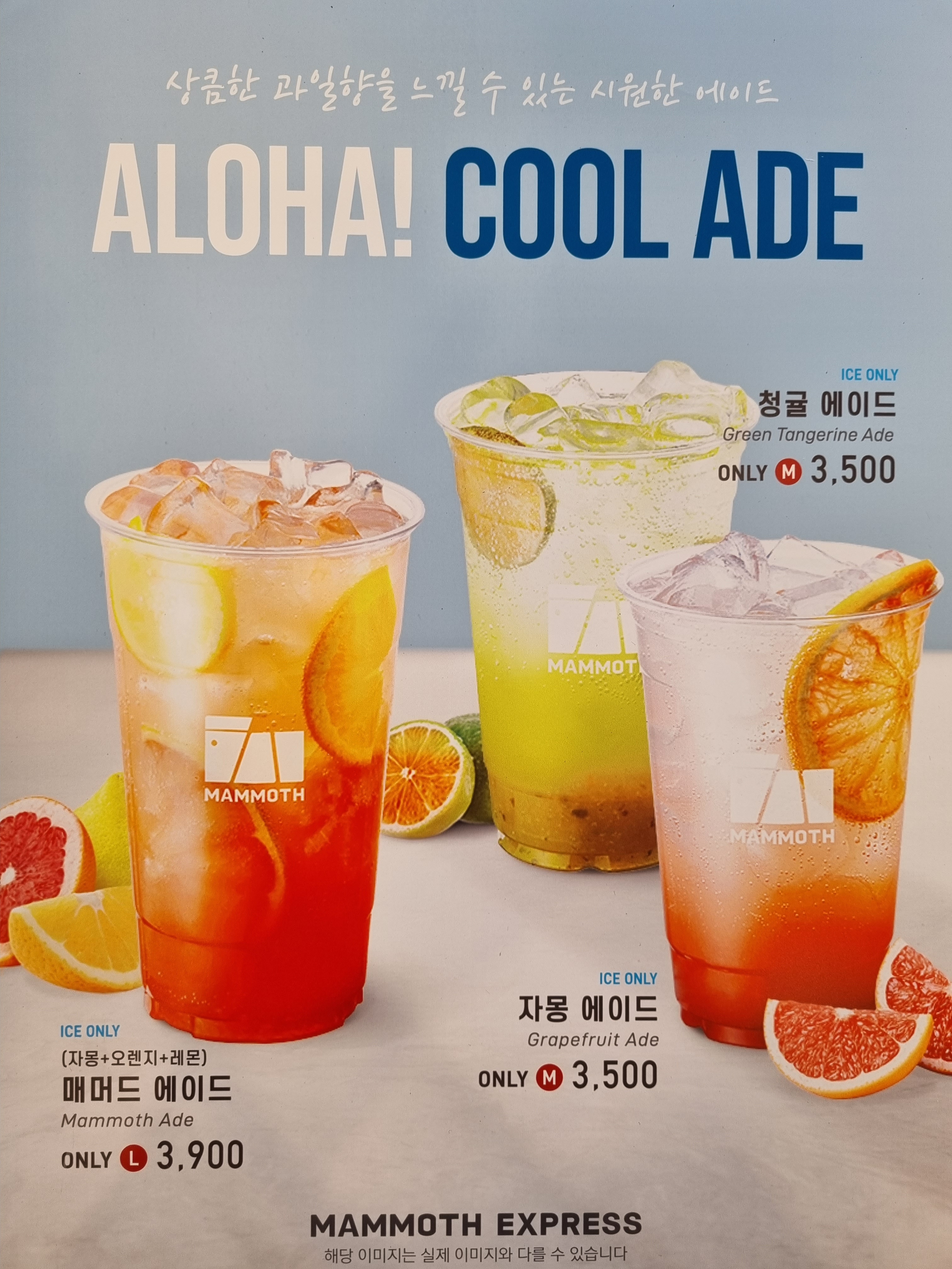 매머드익스프레스 파주운정목동점
