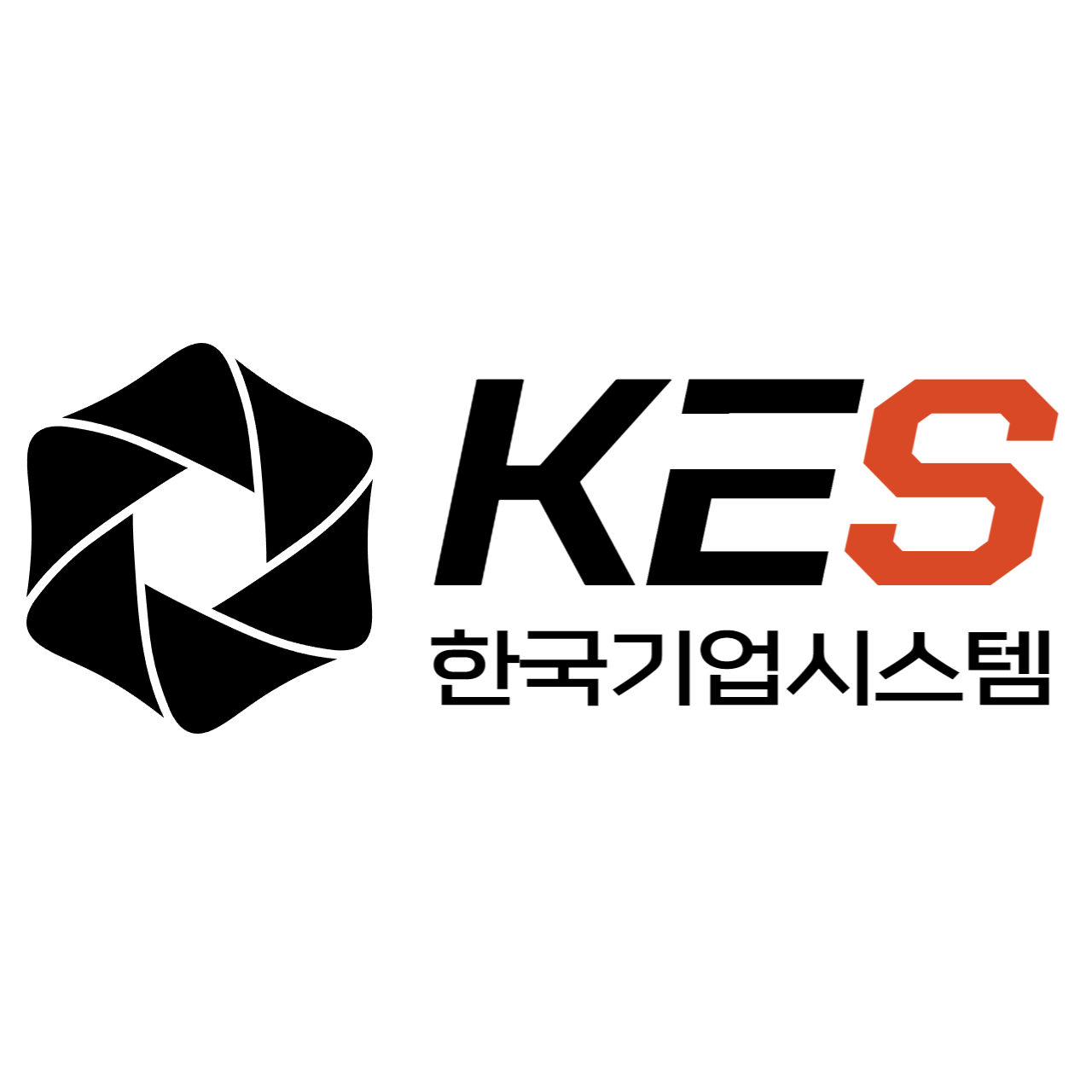 한국기업시스템