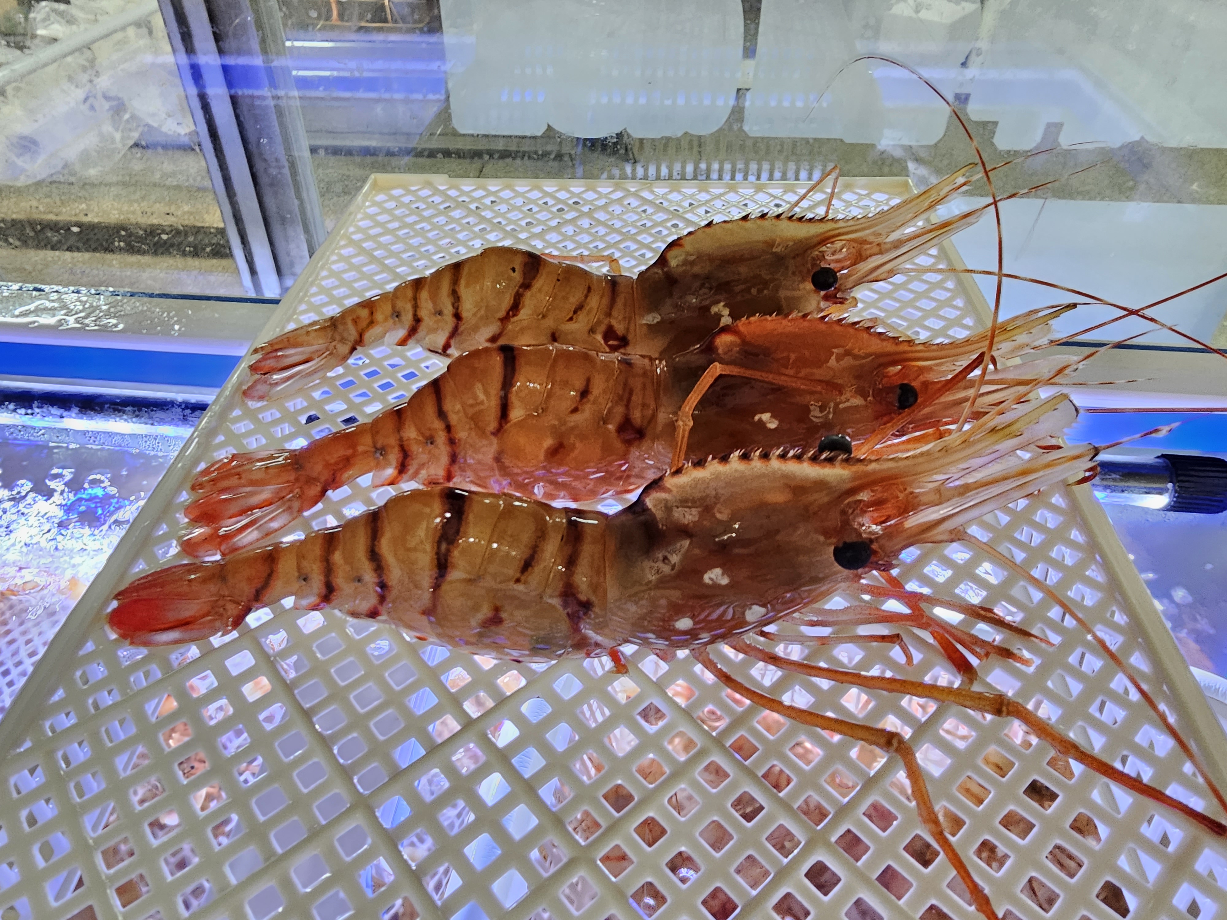 섬하나수산