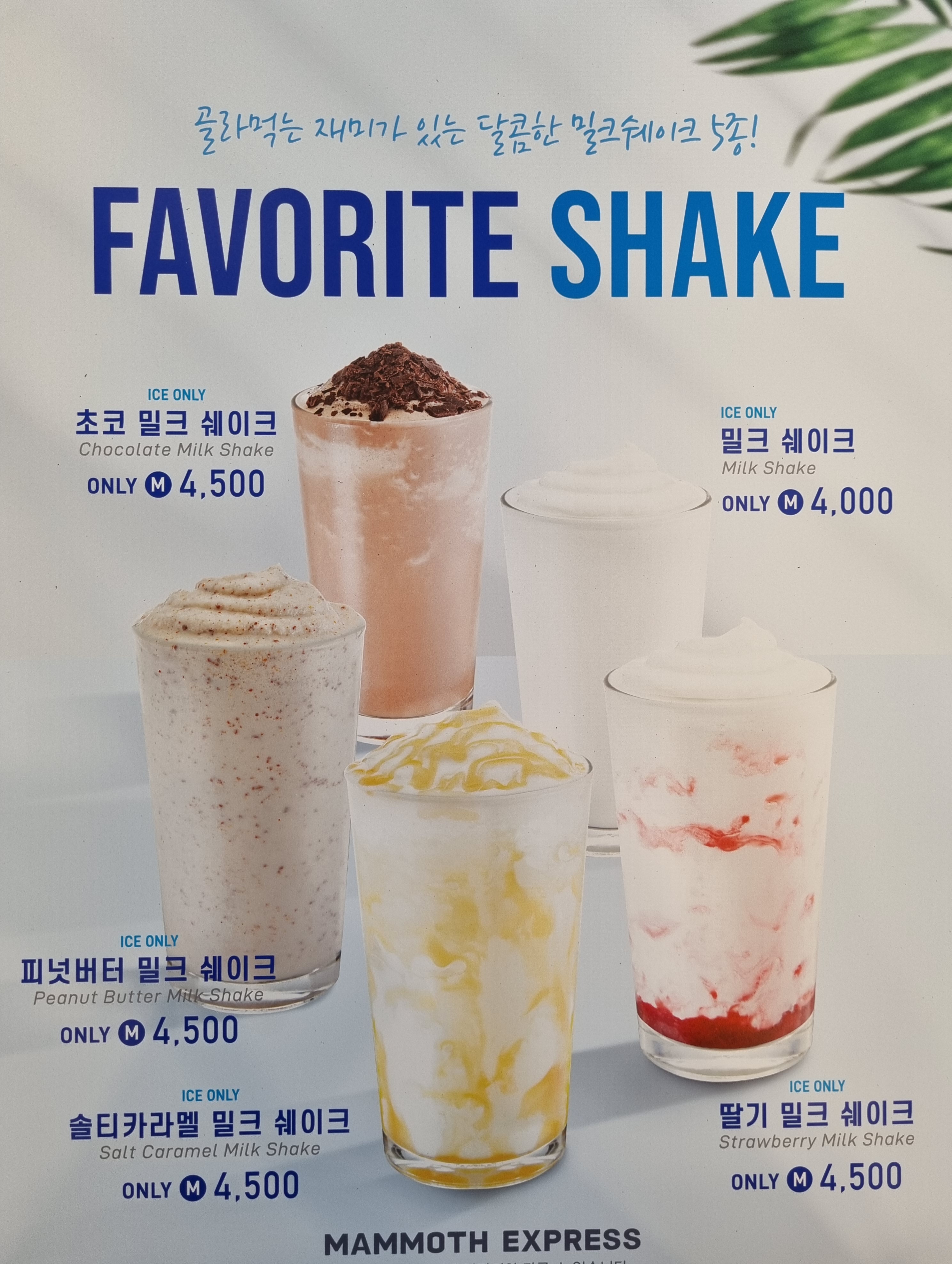 매머드익스프레스 파주운정목동점