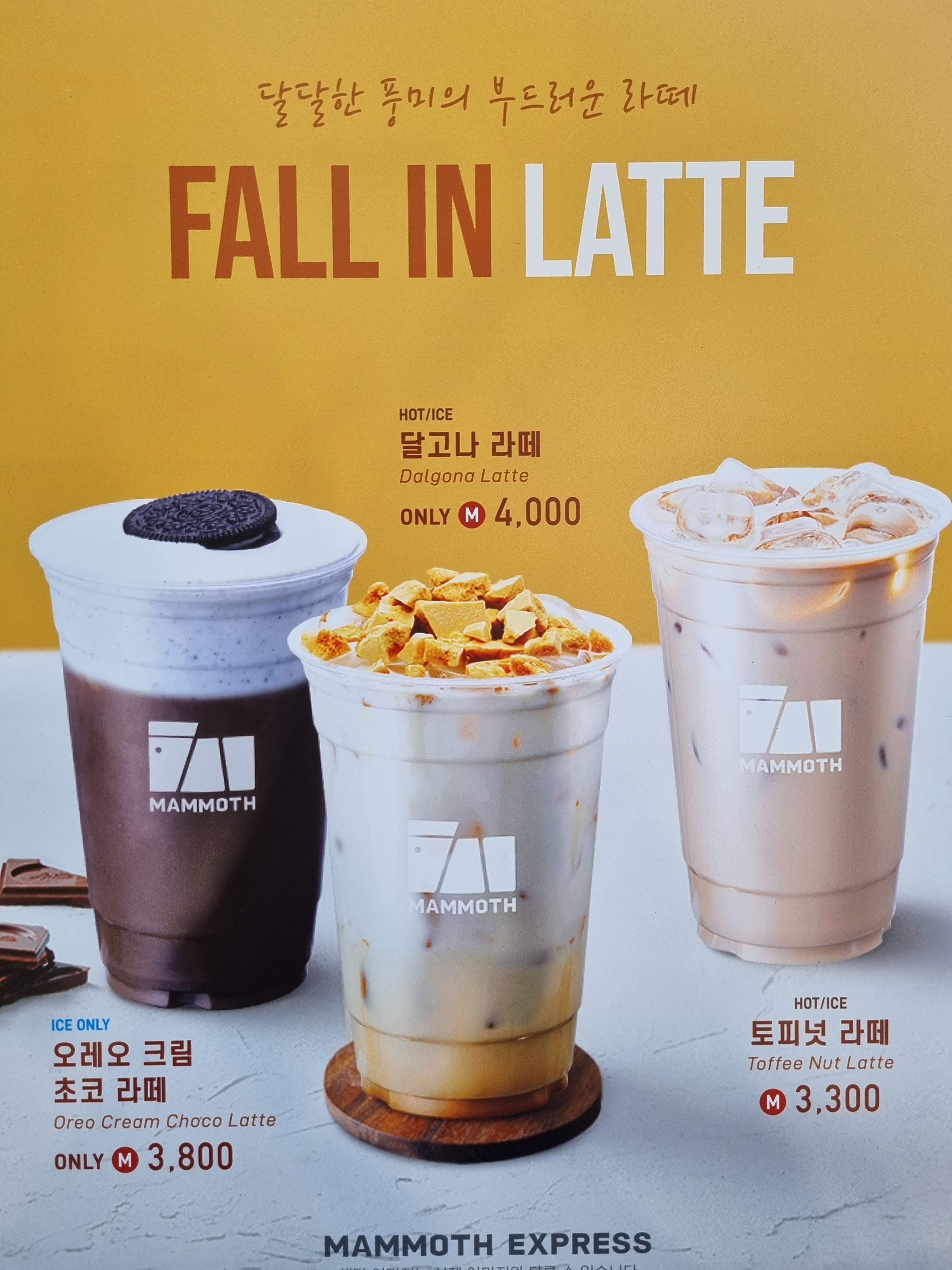 매머드익스프레스 파주운정목동점