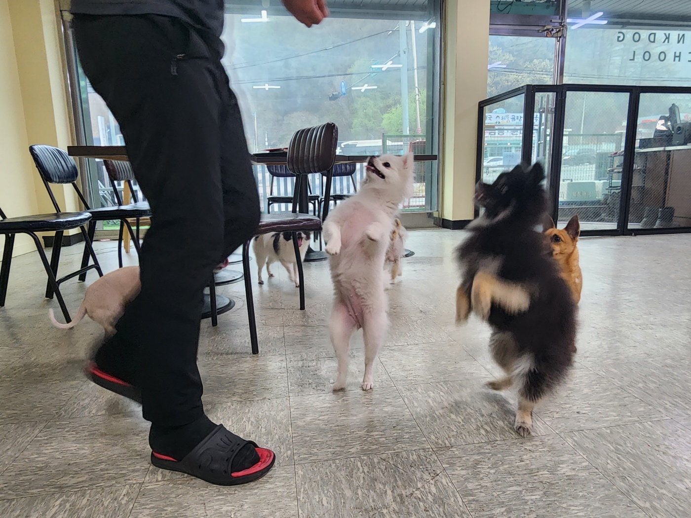 씽크독스쿨 대표 이미지