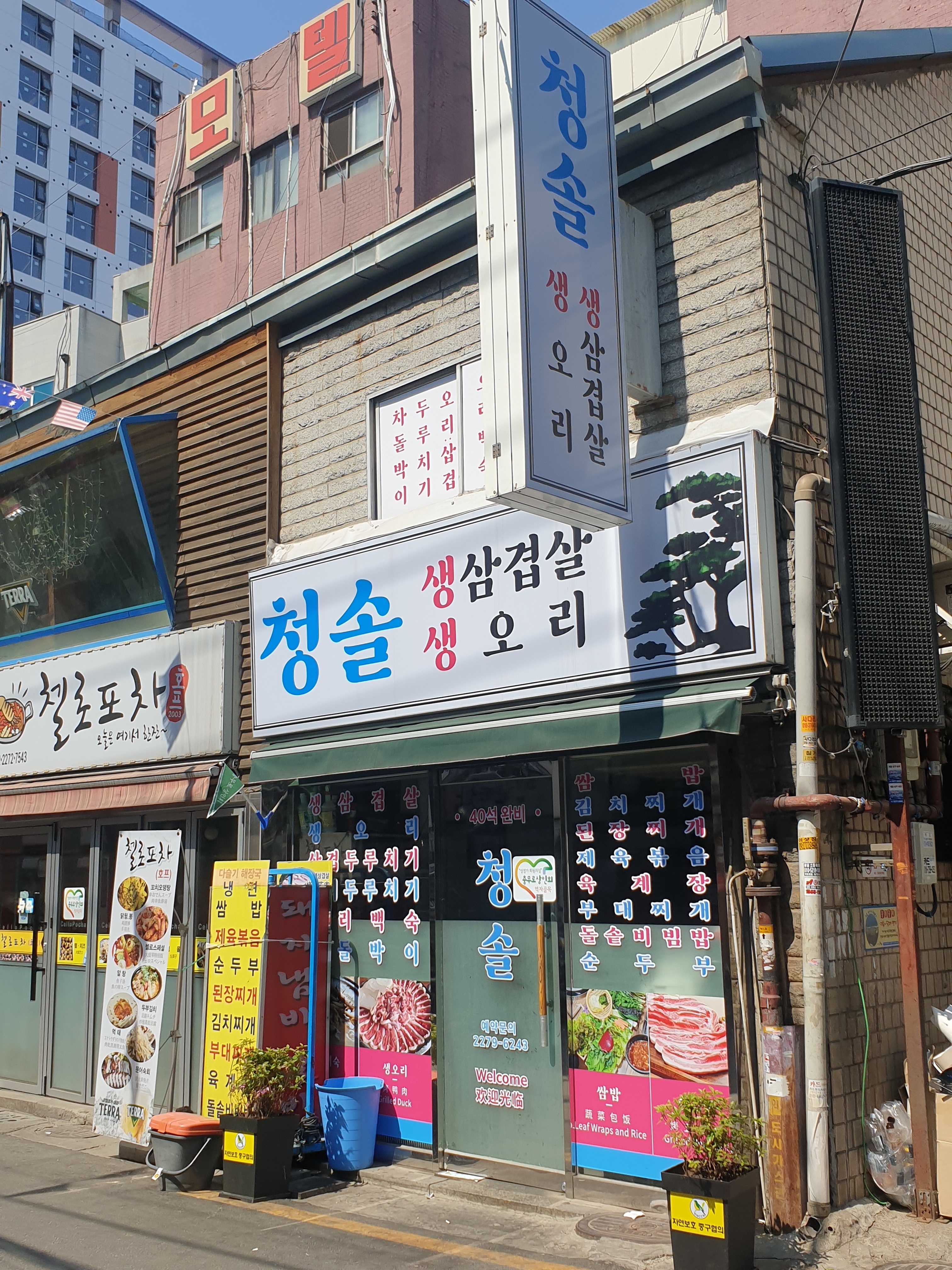 청솔식당