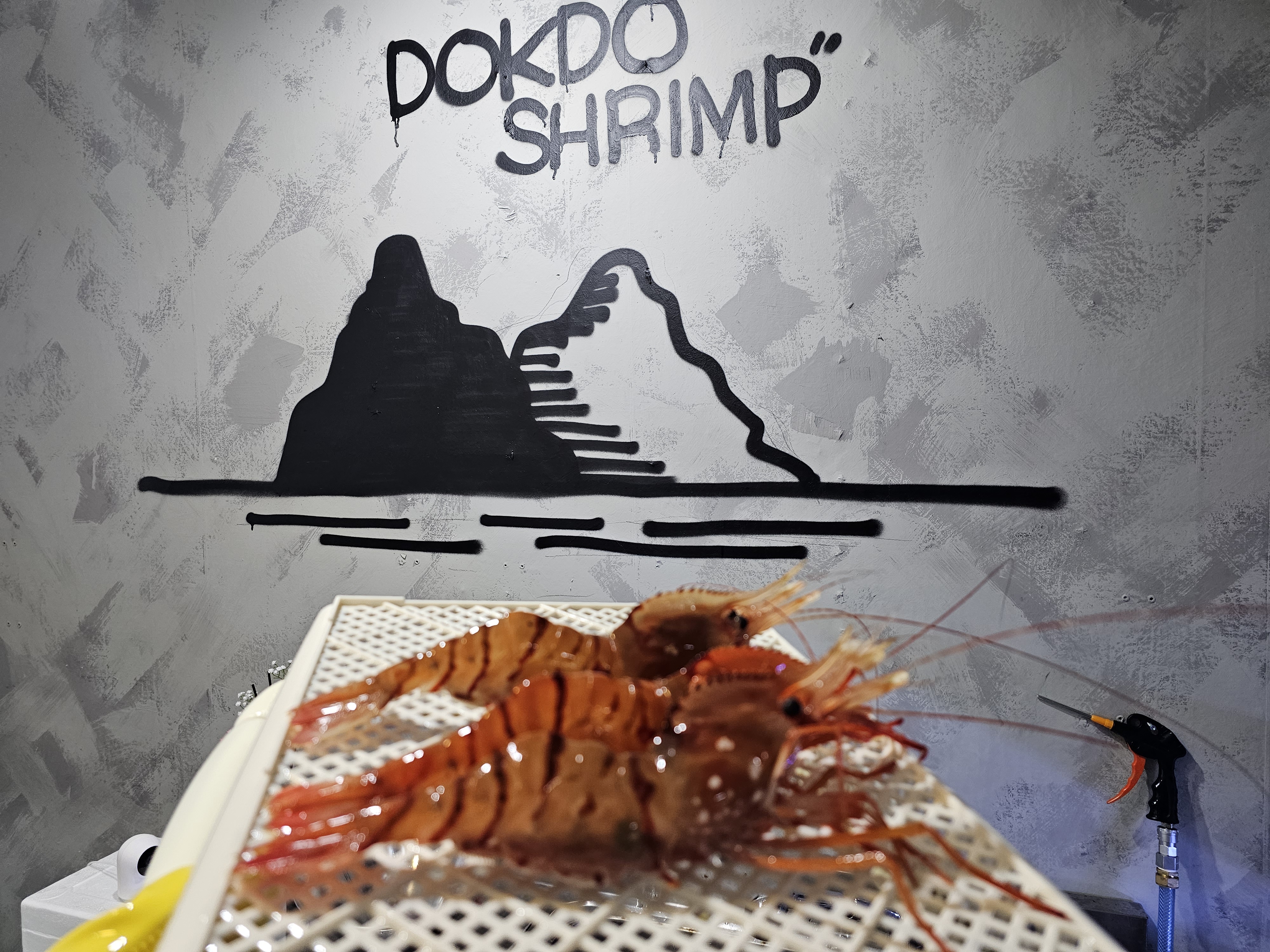 섬하나수산