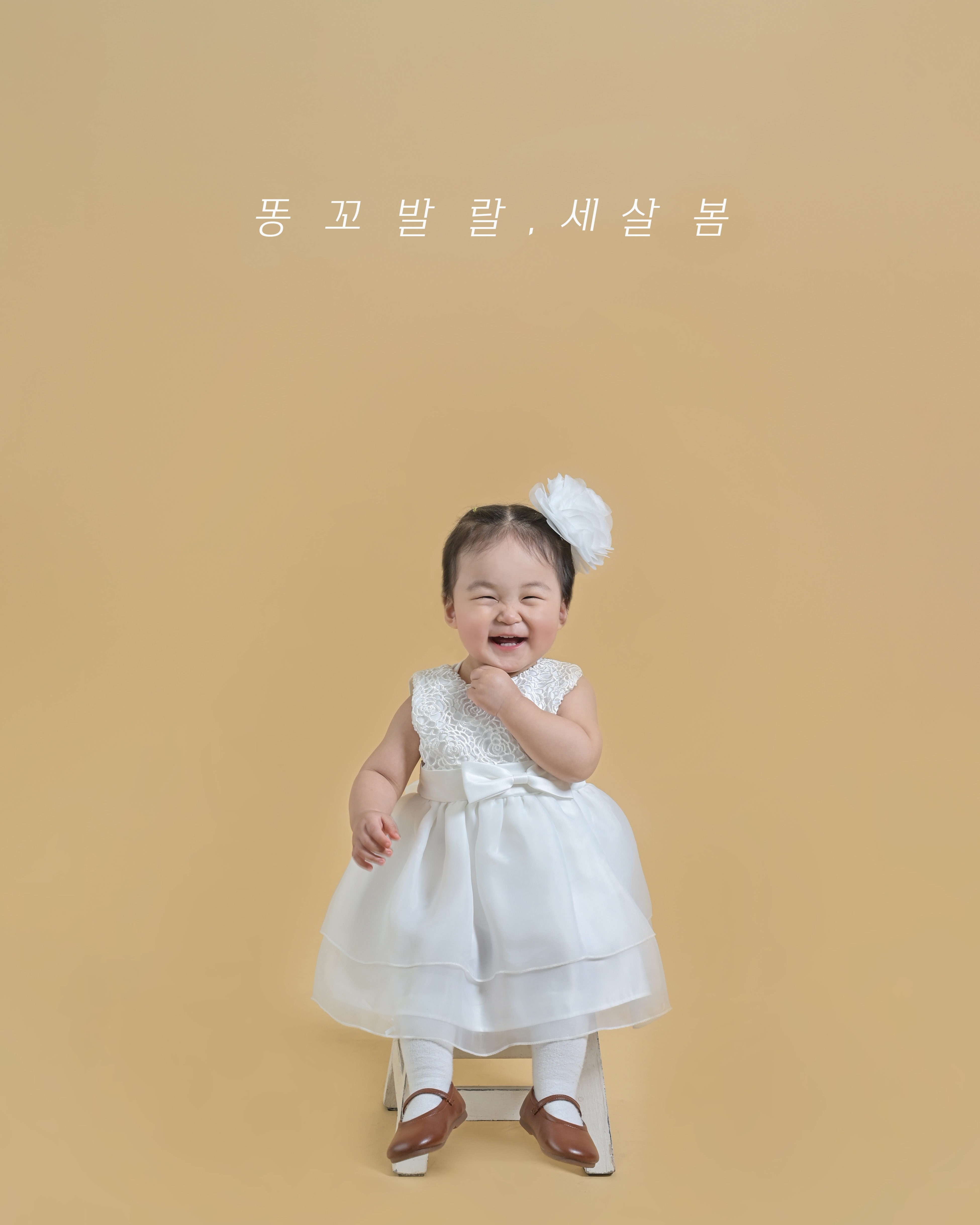 곰슬스튜디오