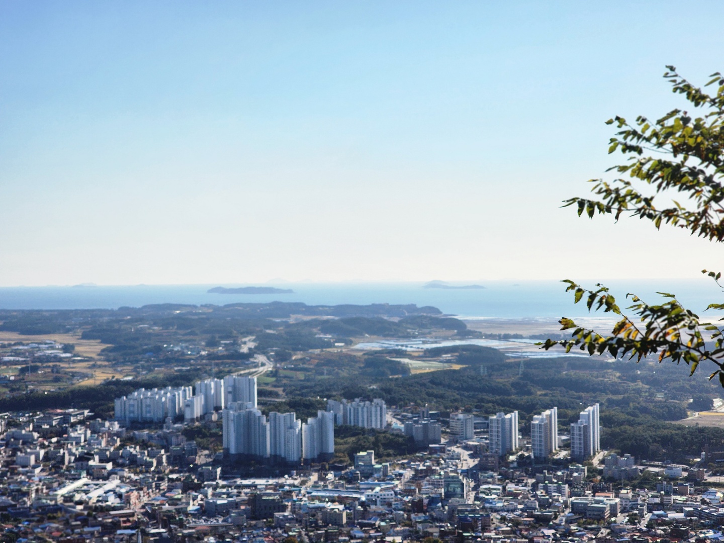 태안운수