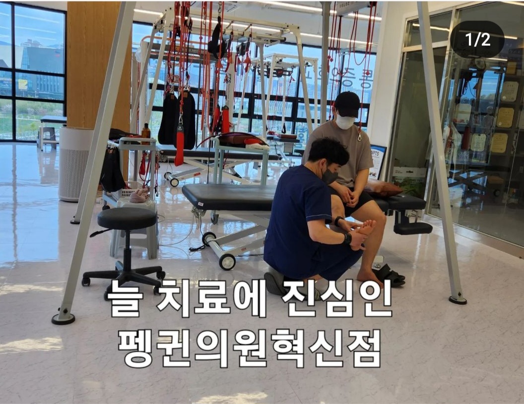펭귄의원 대표 이미지