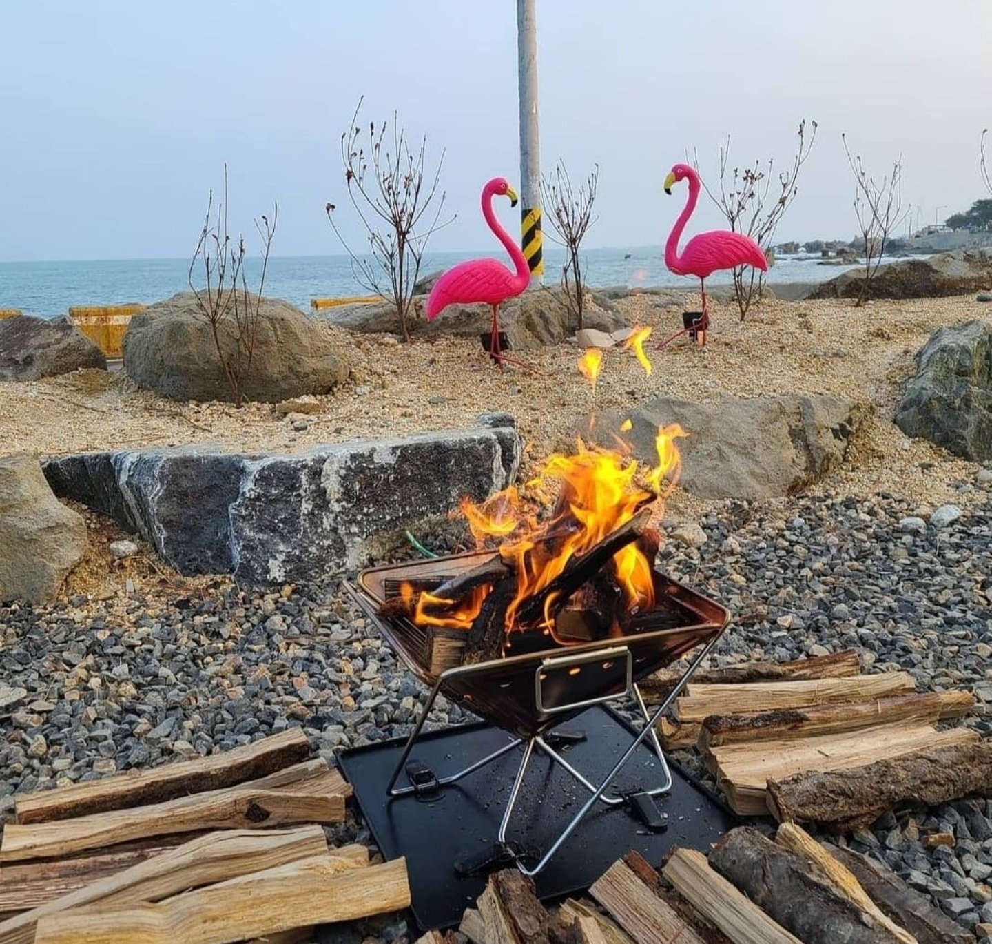주전패밀리캠핑장