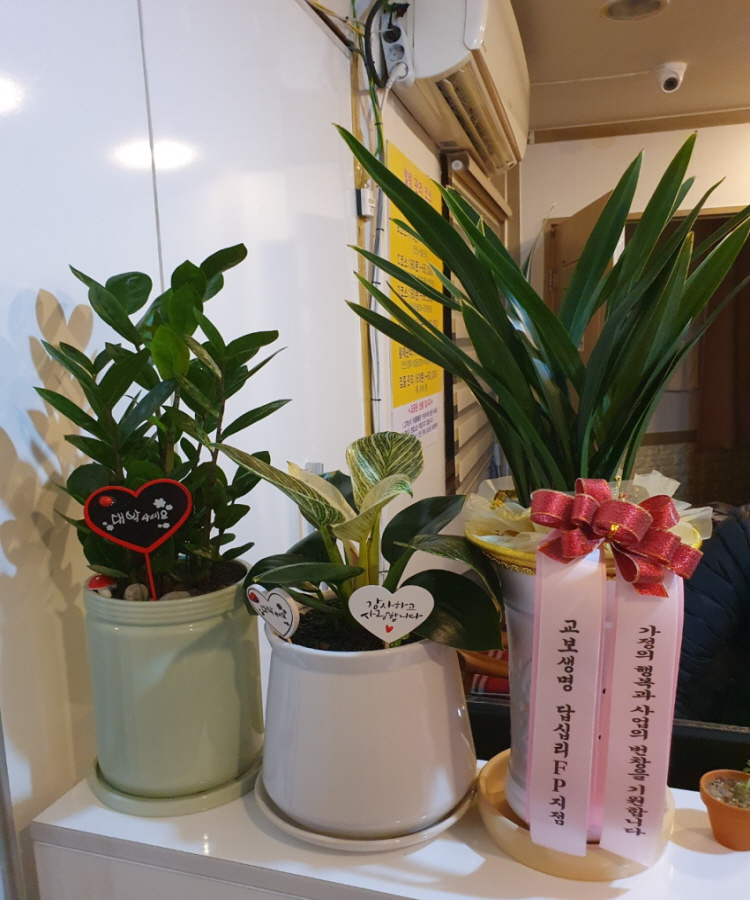 웰빙체형관리 photo 6