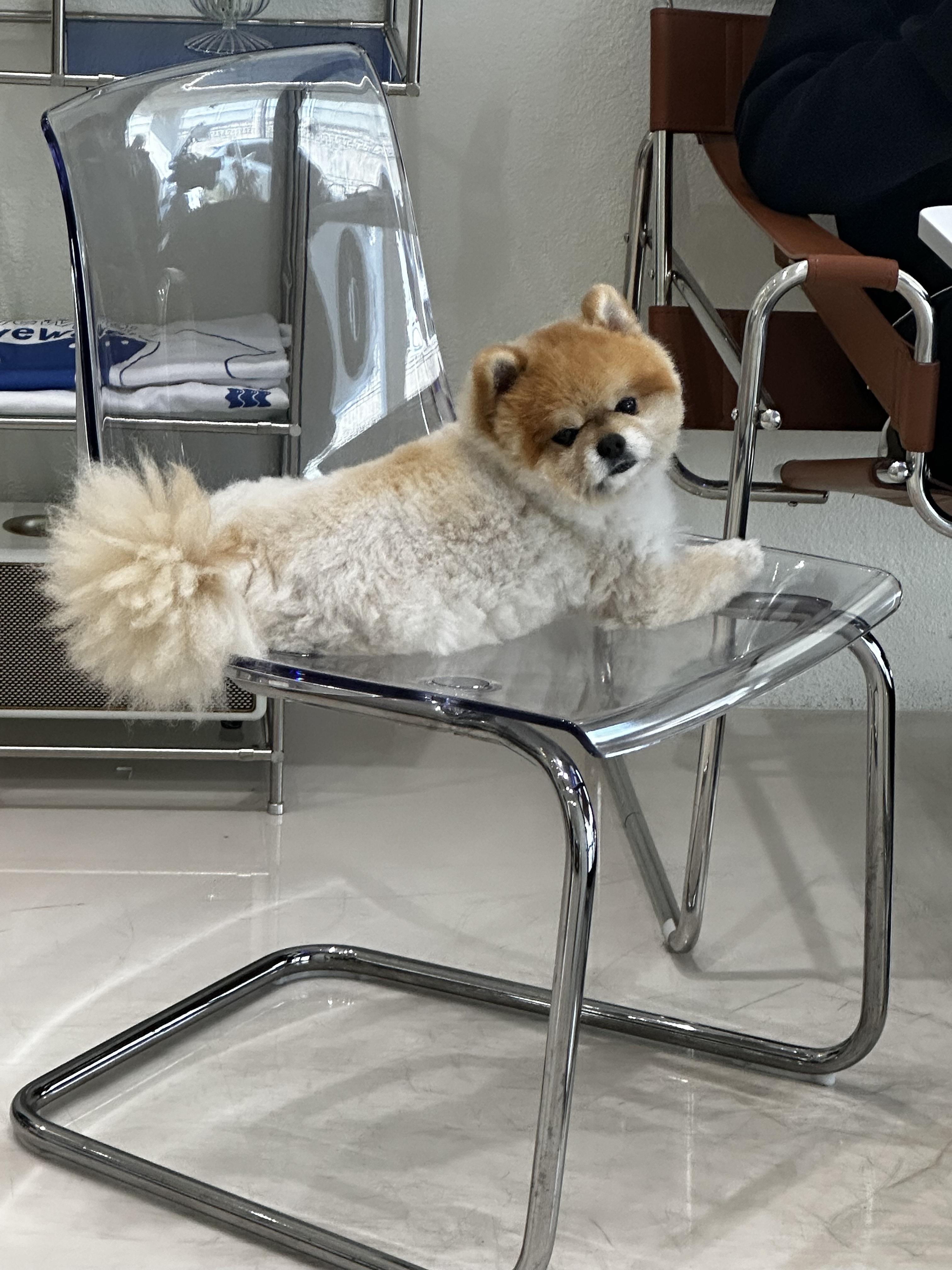 위위 3